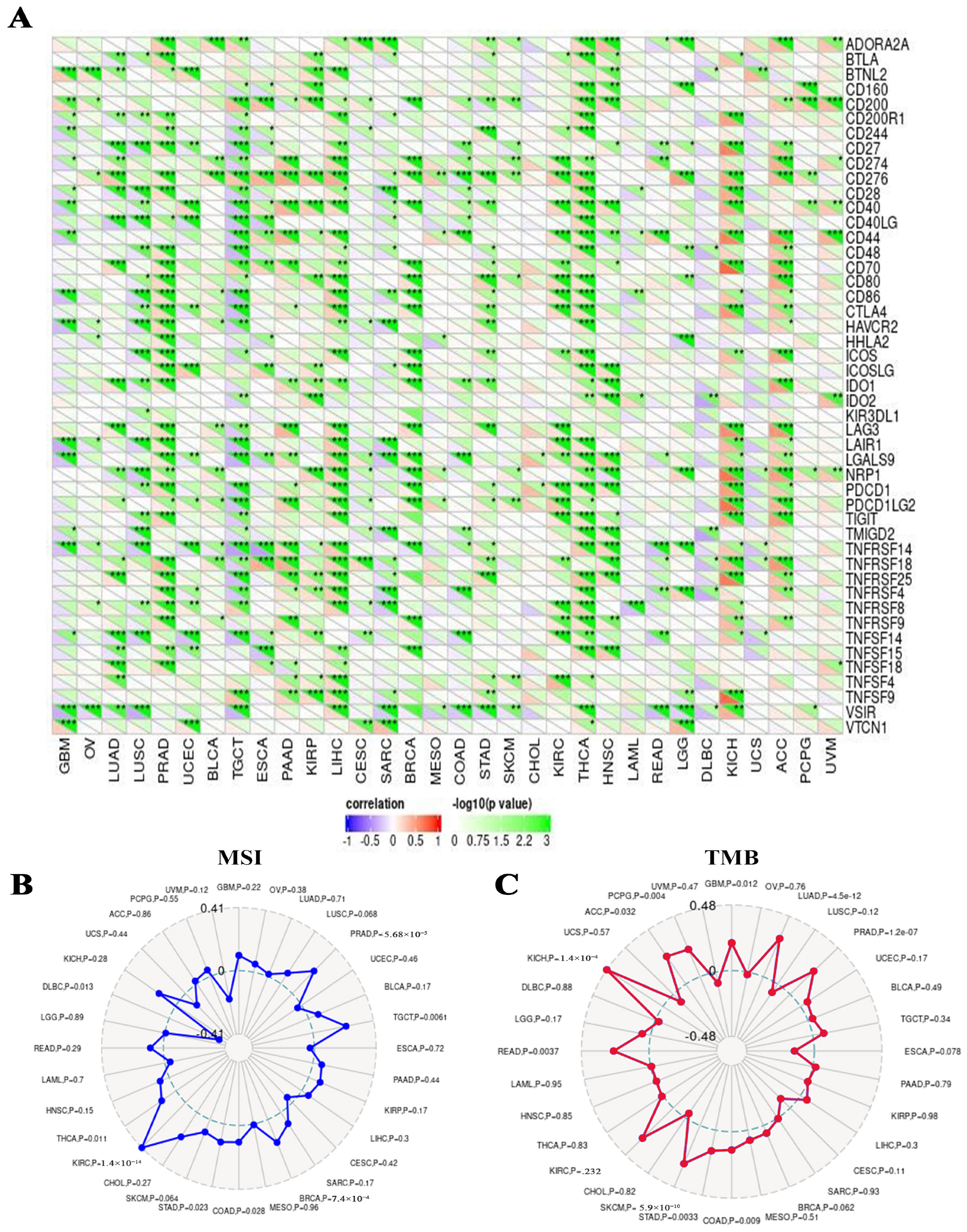 Pharmaceuticals 17 00152 g010