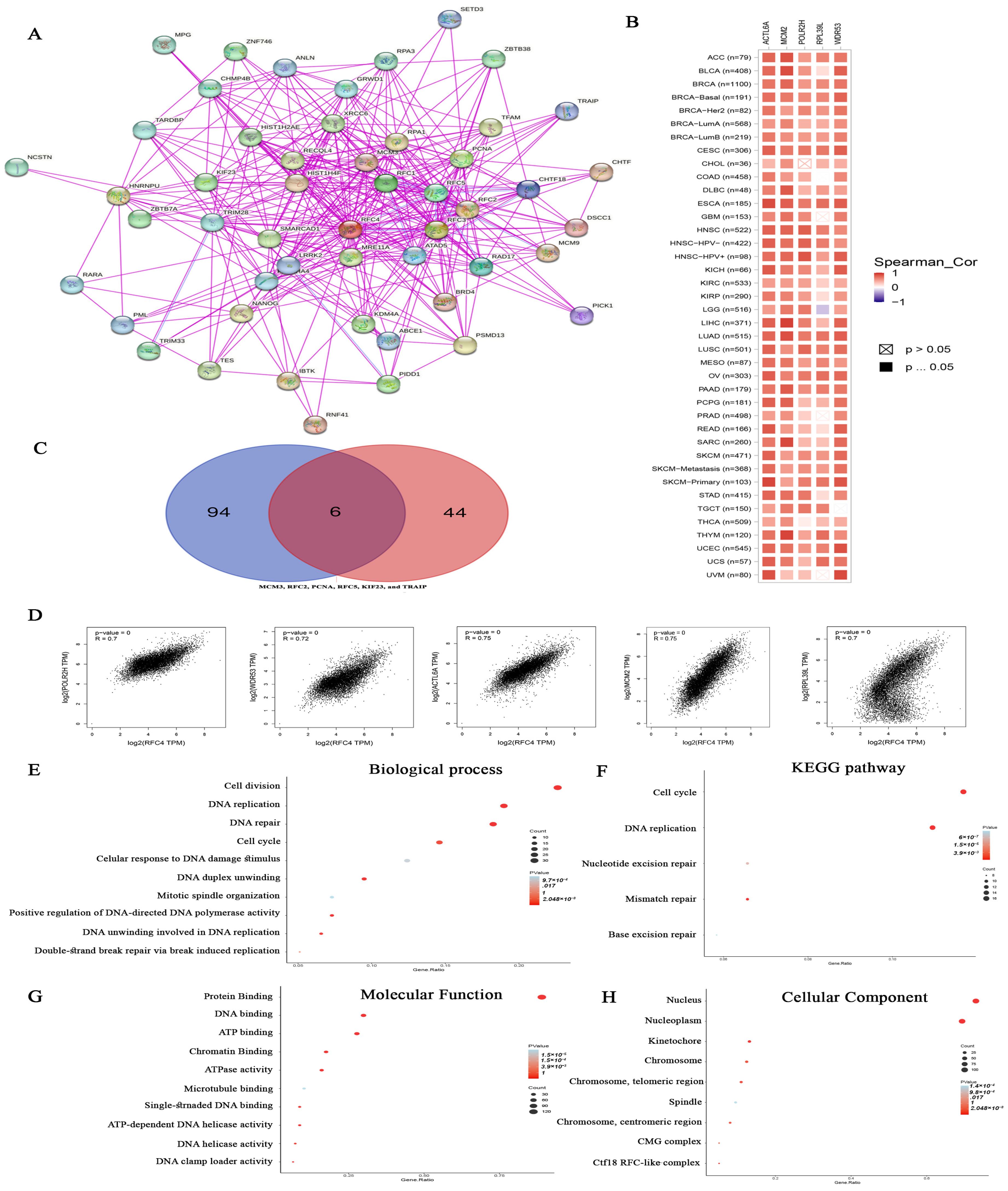 Pharmaceuticals 17 00152 g011