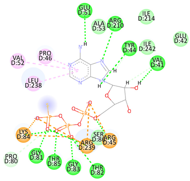Pharmaceuticals 17 00152 i001