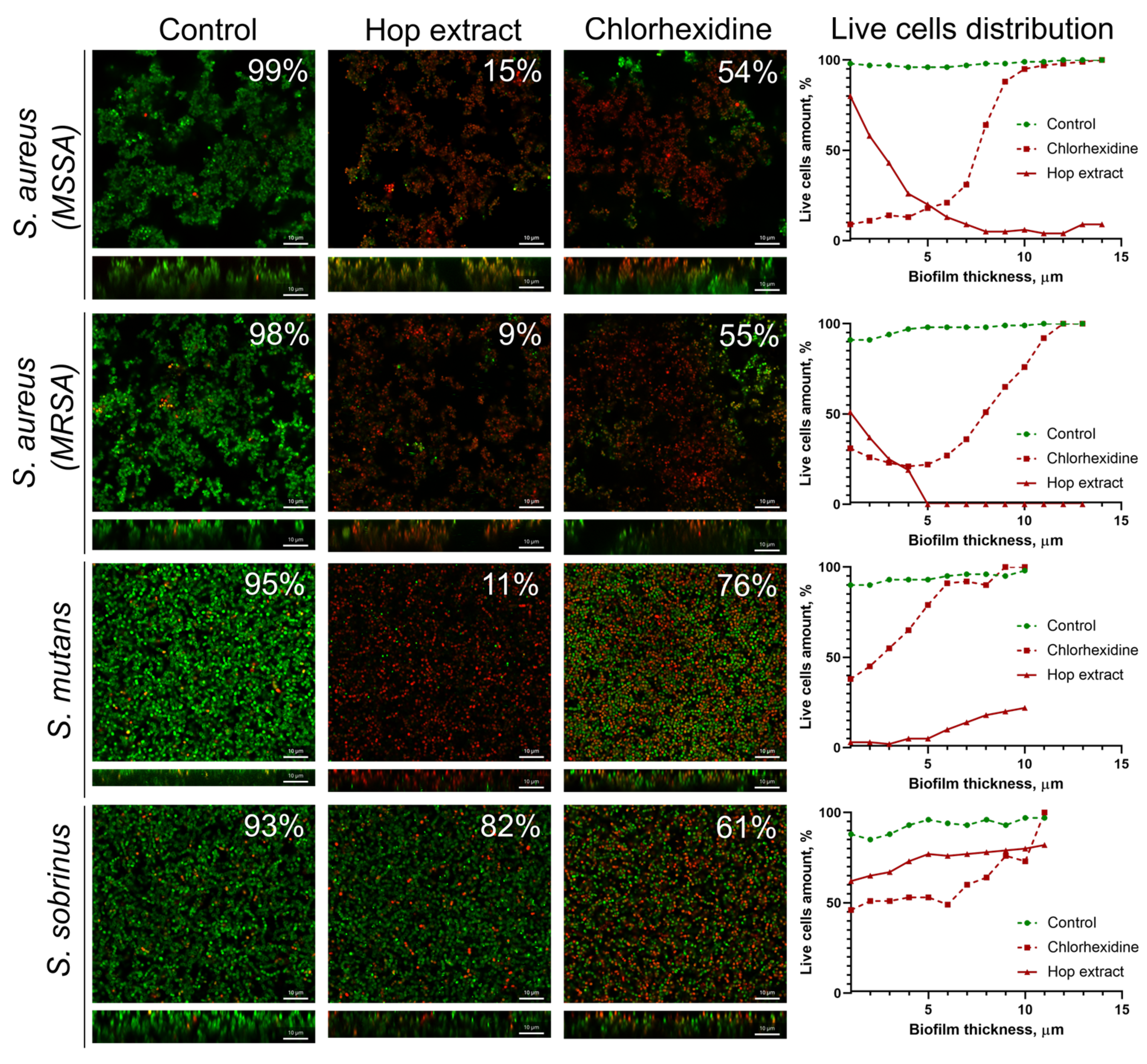 Pharmaceuticals 17 00162 g002