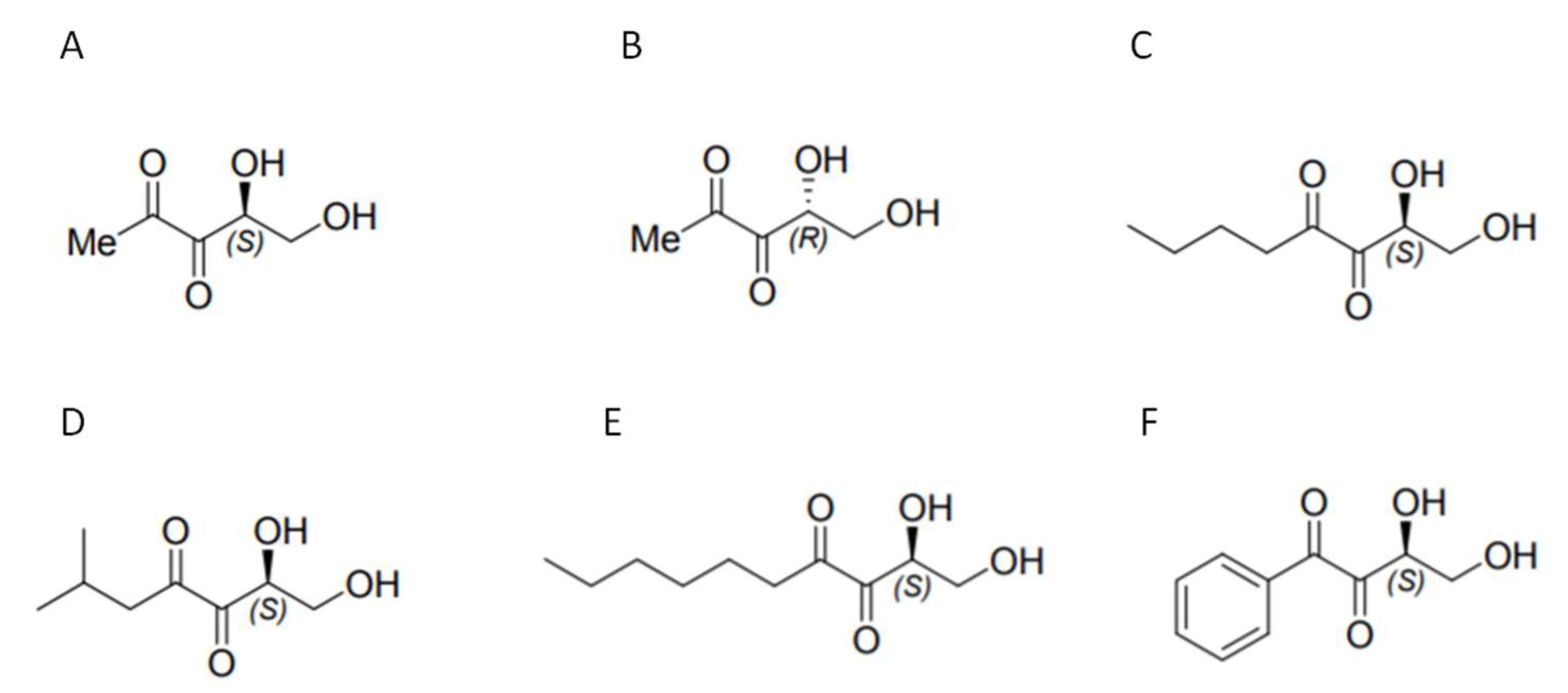 Pharmaceuticals 17 00184 g001