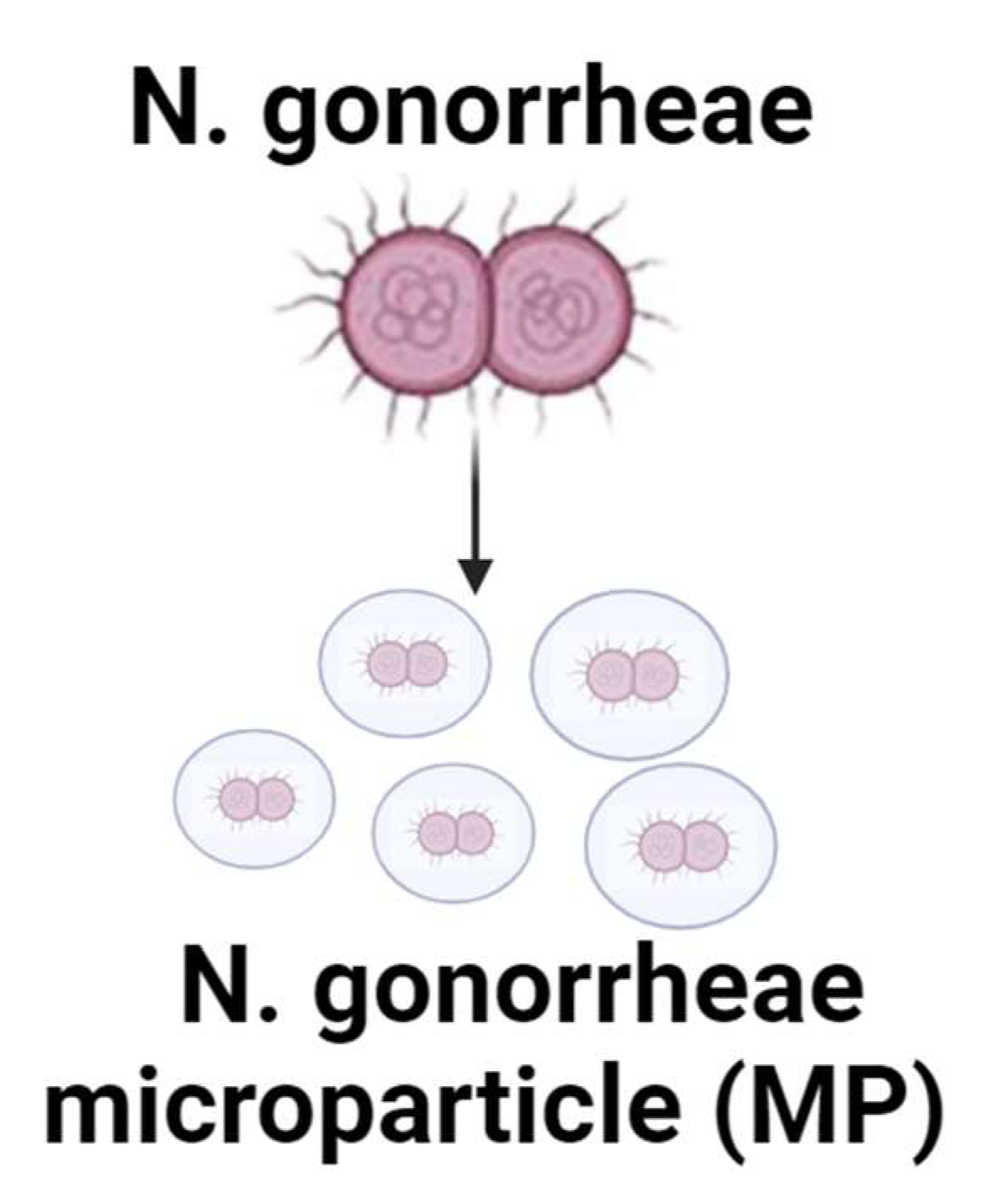 Pharmaceuticals 17 00184 g002