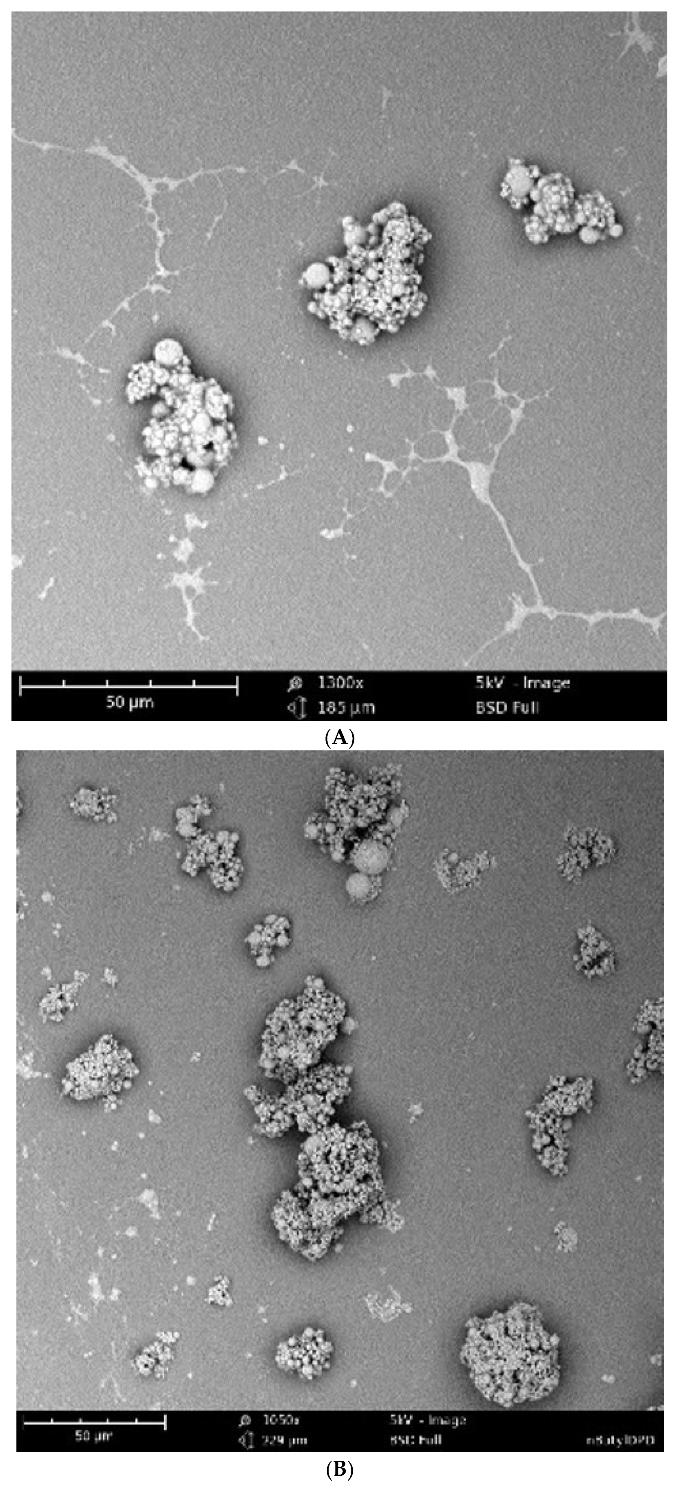 Pharmaceuticals 17 00184 g003a