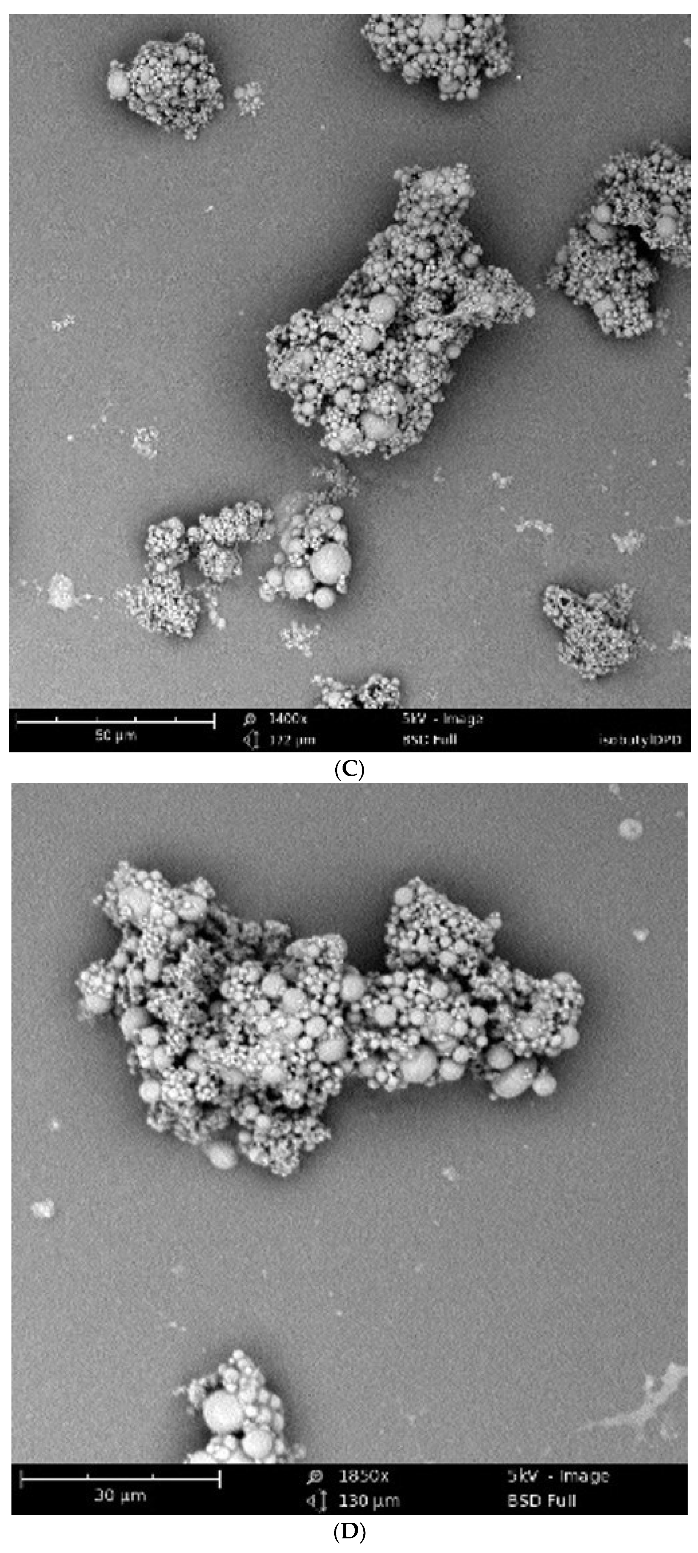 Pharmaceuticals 17 00184 g003b