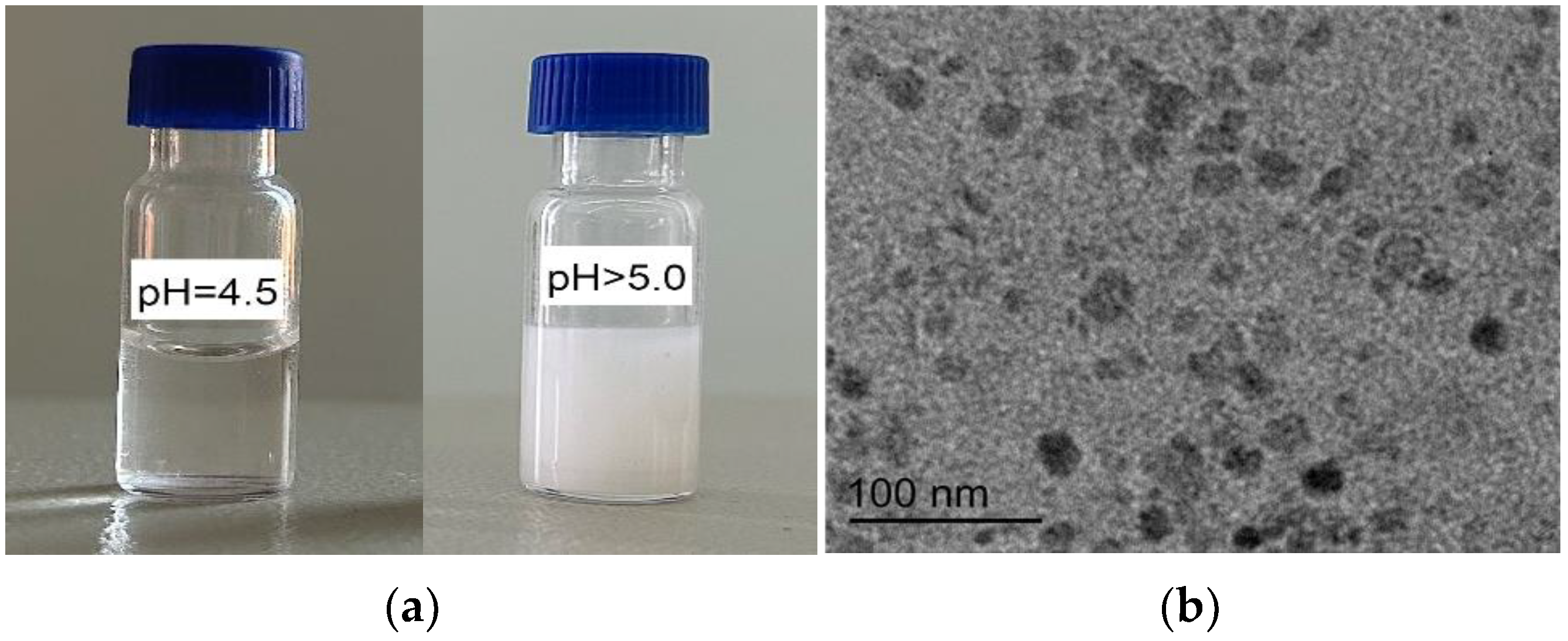 Pharmaceuticals 17 00186 g002