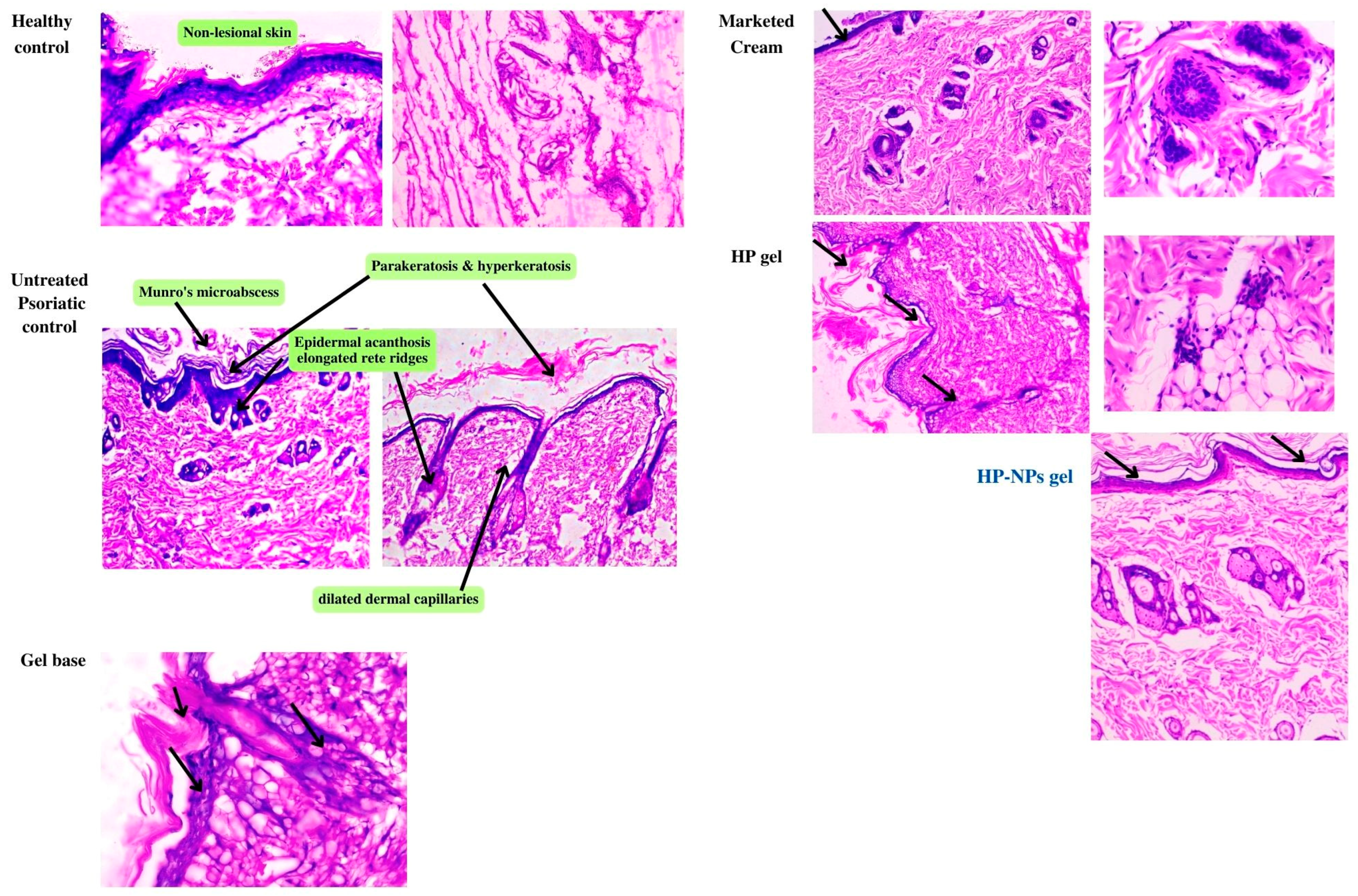 Pharmaceuticals 17 00213 g006