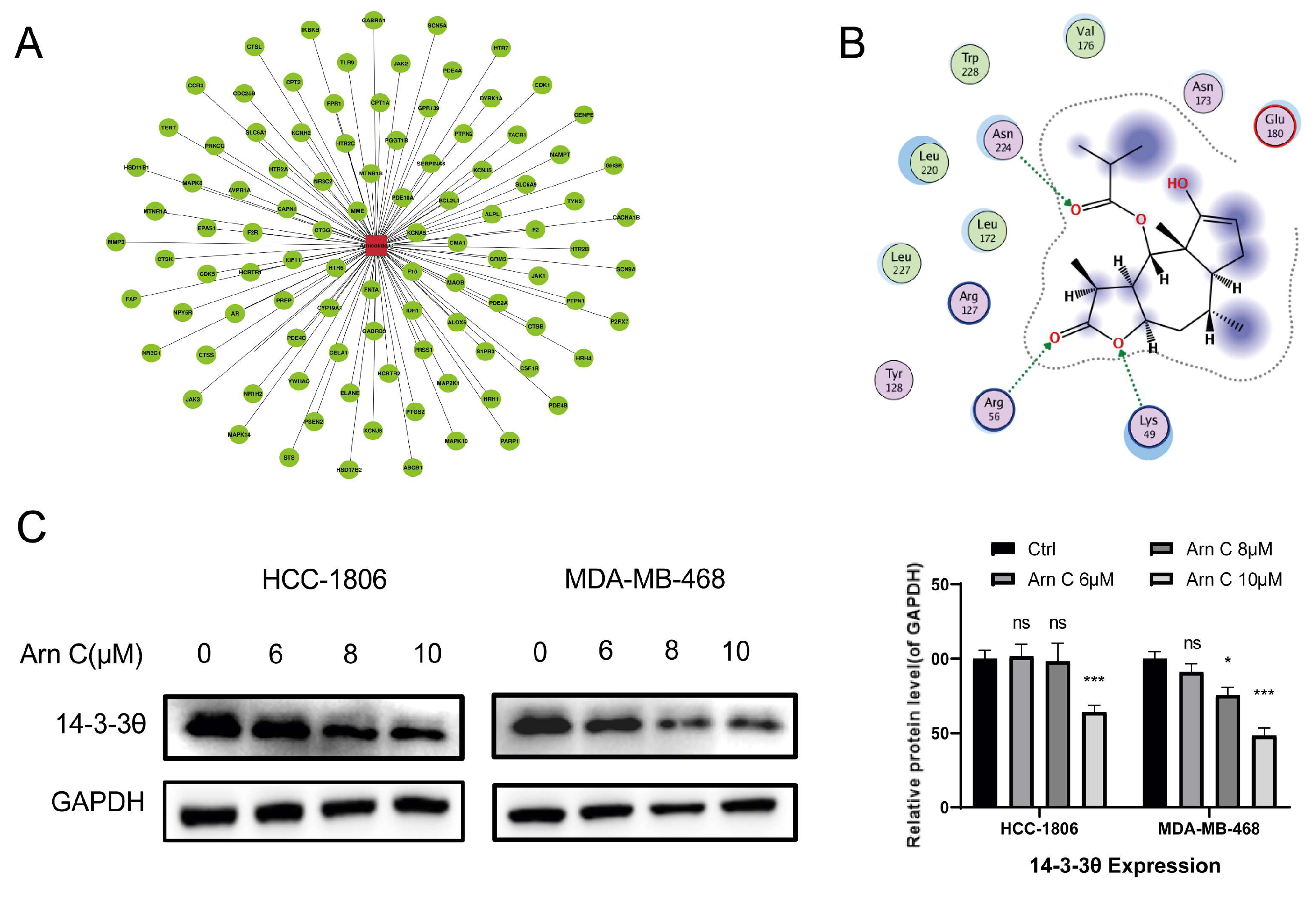 Pharmaceuticals 17 00224 g003