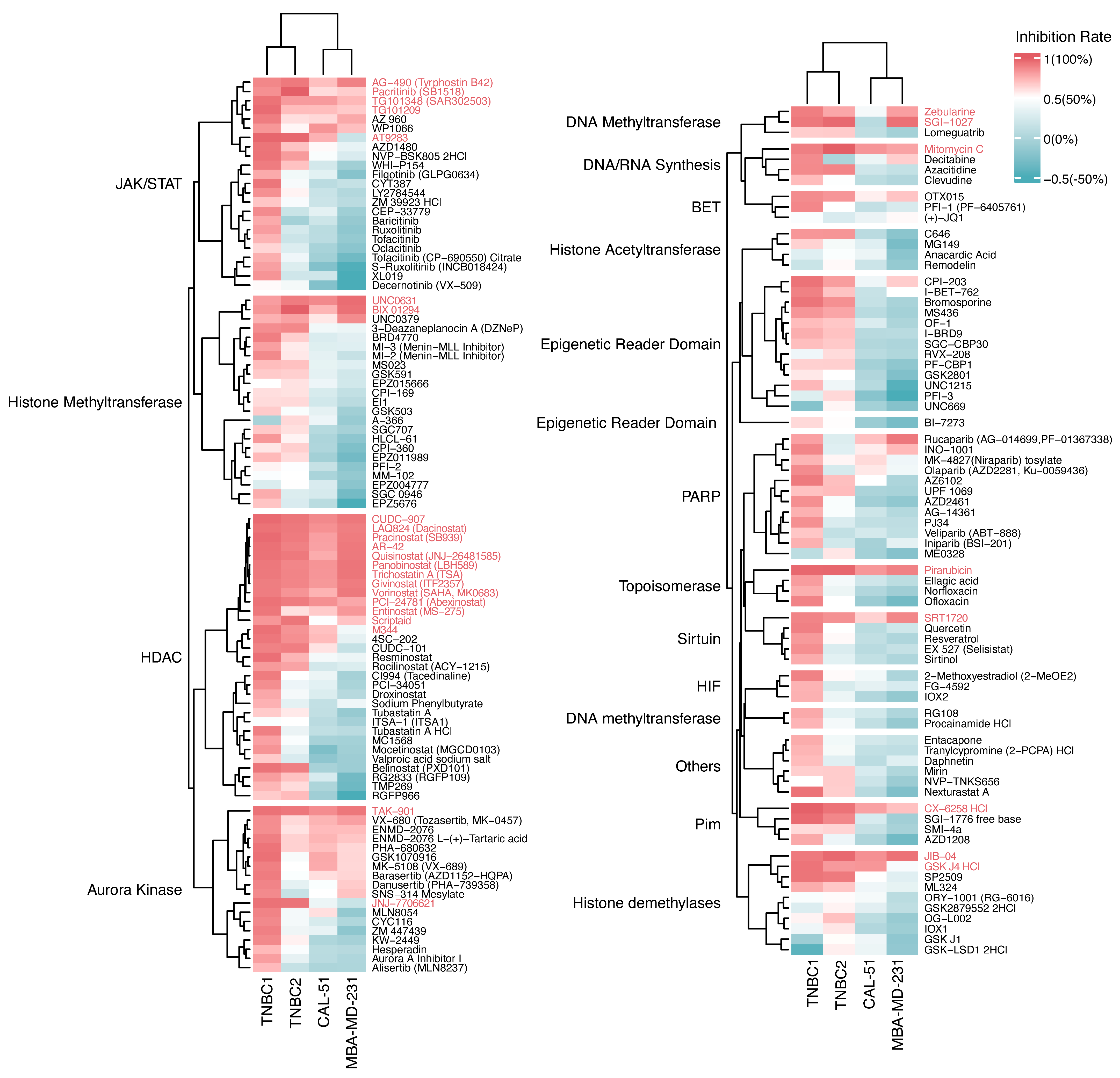Pharmaceuticals 17 00225 g002