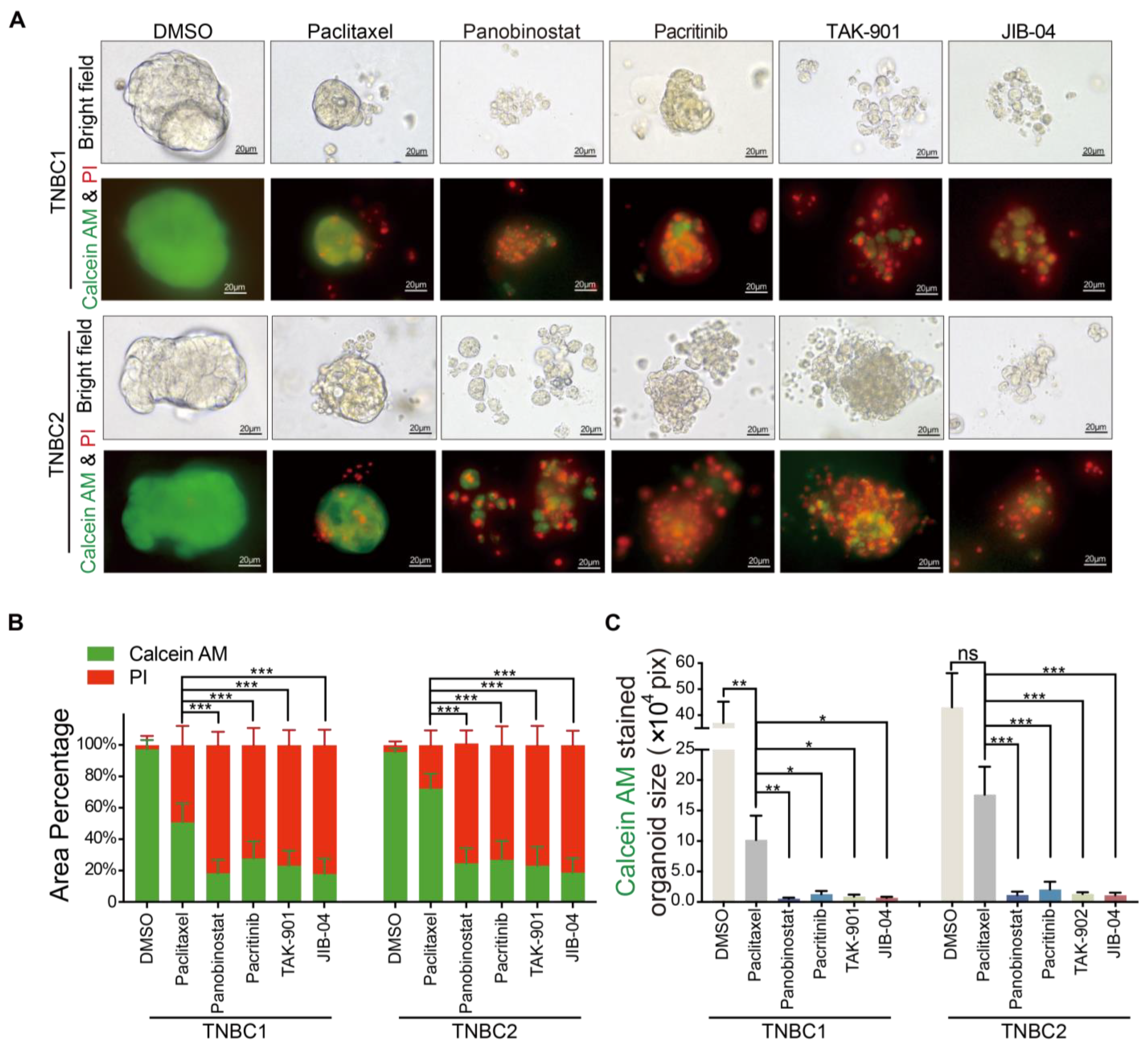 Pharmaceuticals 17 00225 g004