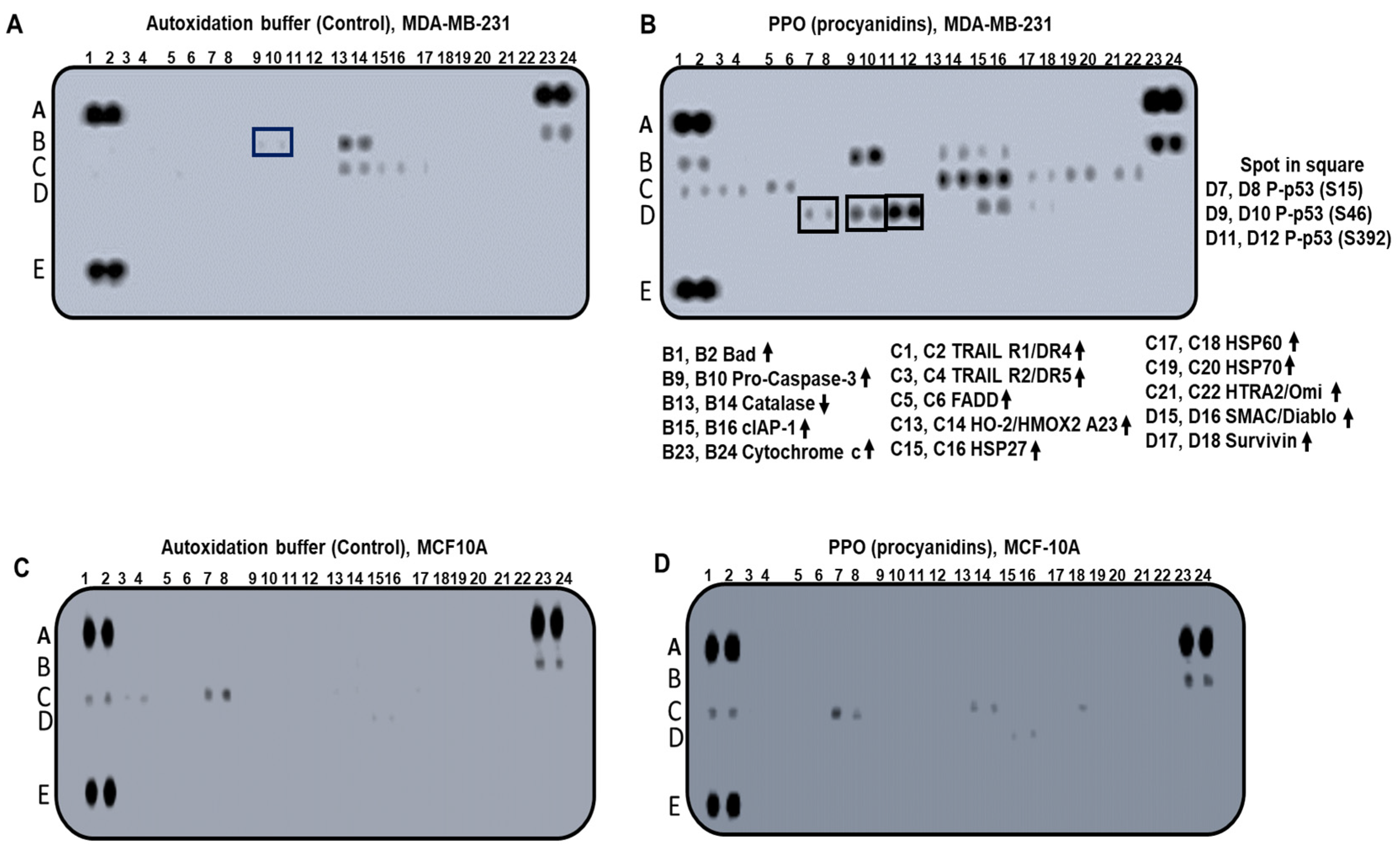 Pharmaceuticals 17 00258 g006