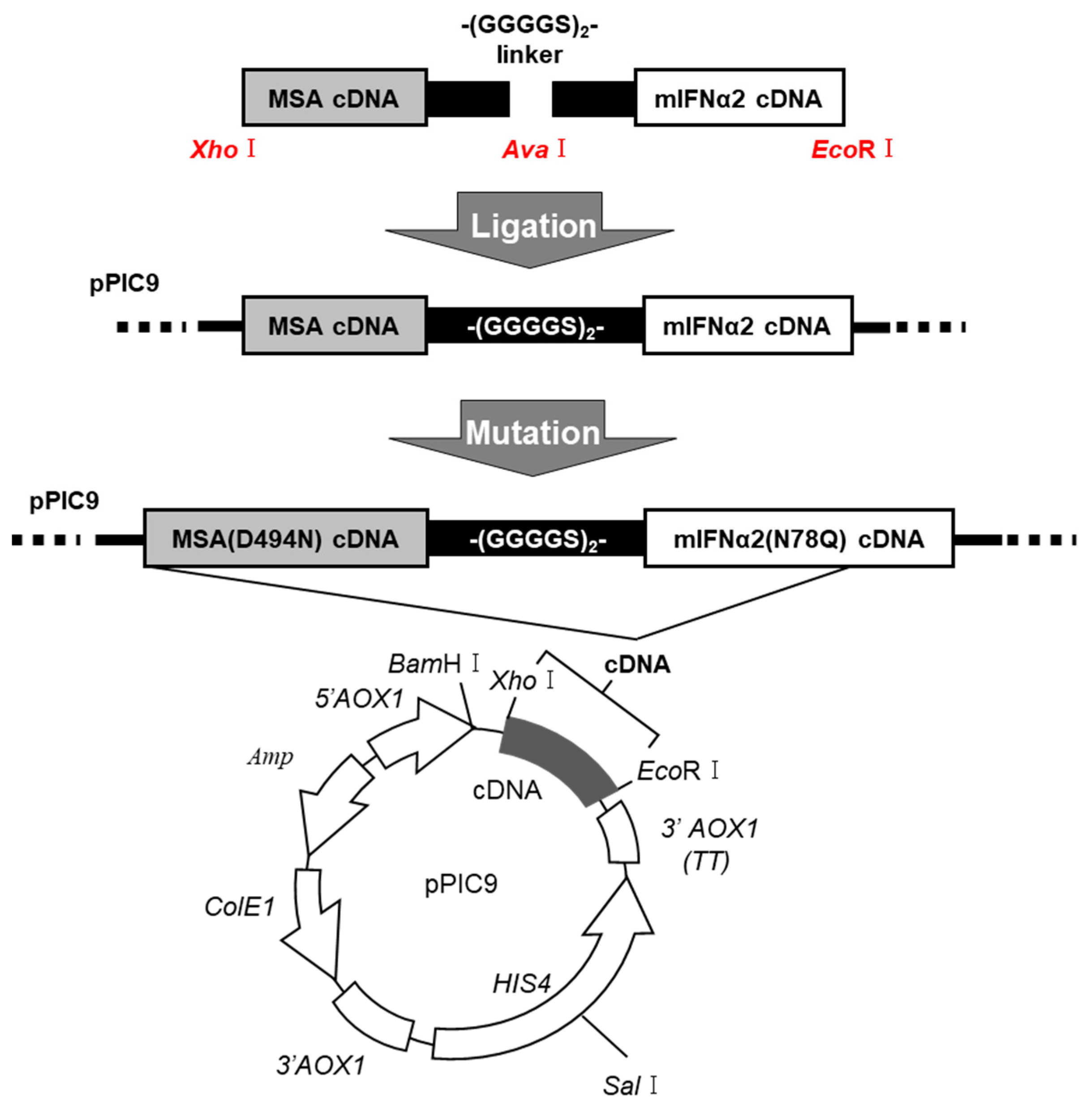 Pharmaceuticals 17 00260 g001 Pharmaceuticals 17 00260 g001