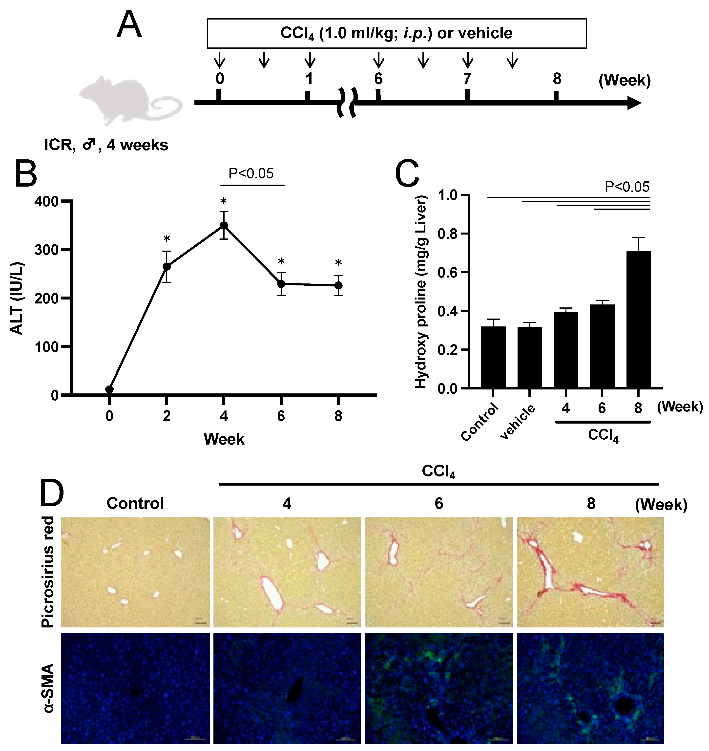 Pharmaceuticals 17 00260 g003 Pharmaceuticals 17 00260 g003