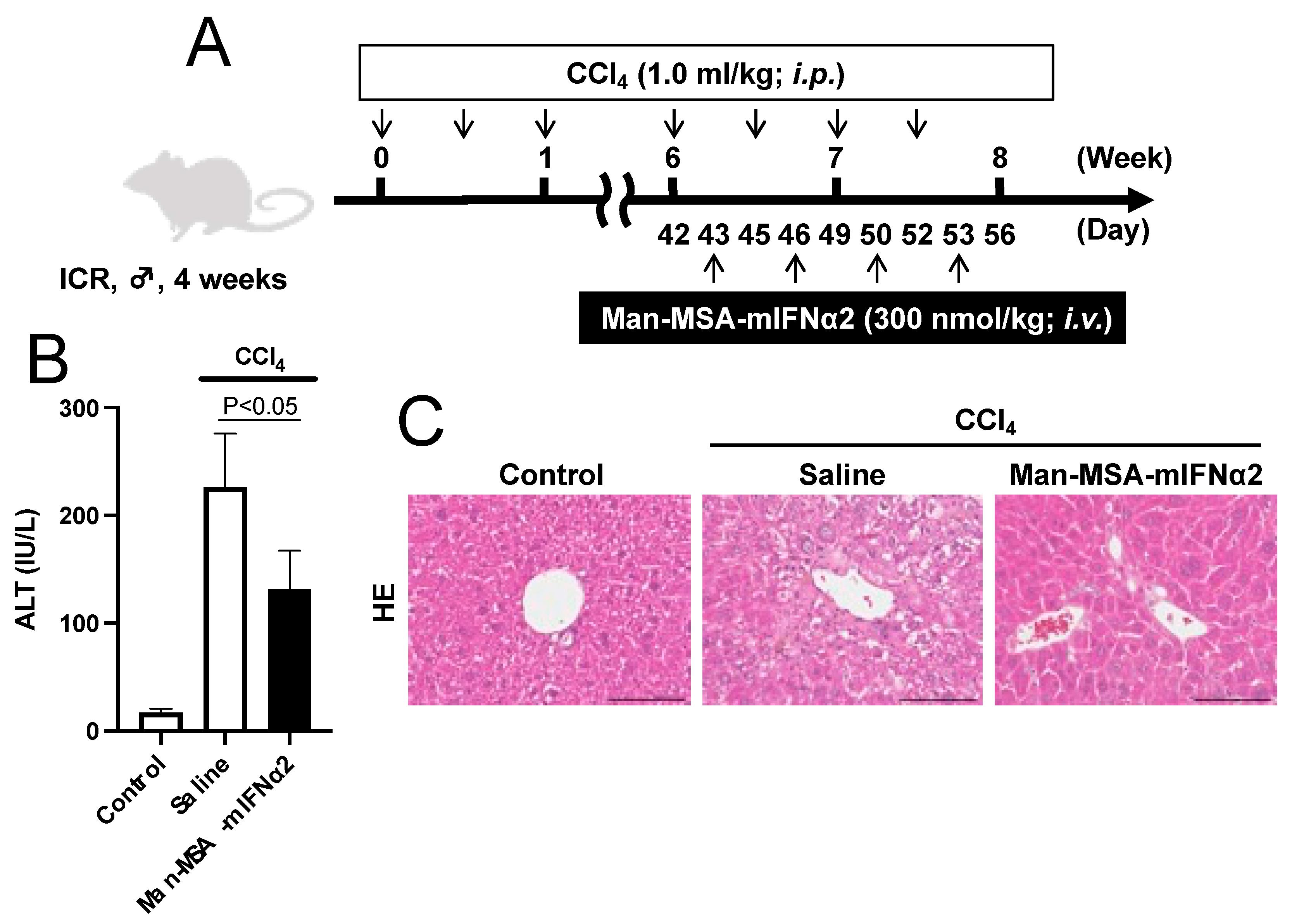 Pharmaceuticals 17 00260 g004 Pharmaceuticals 17 00260 g004