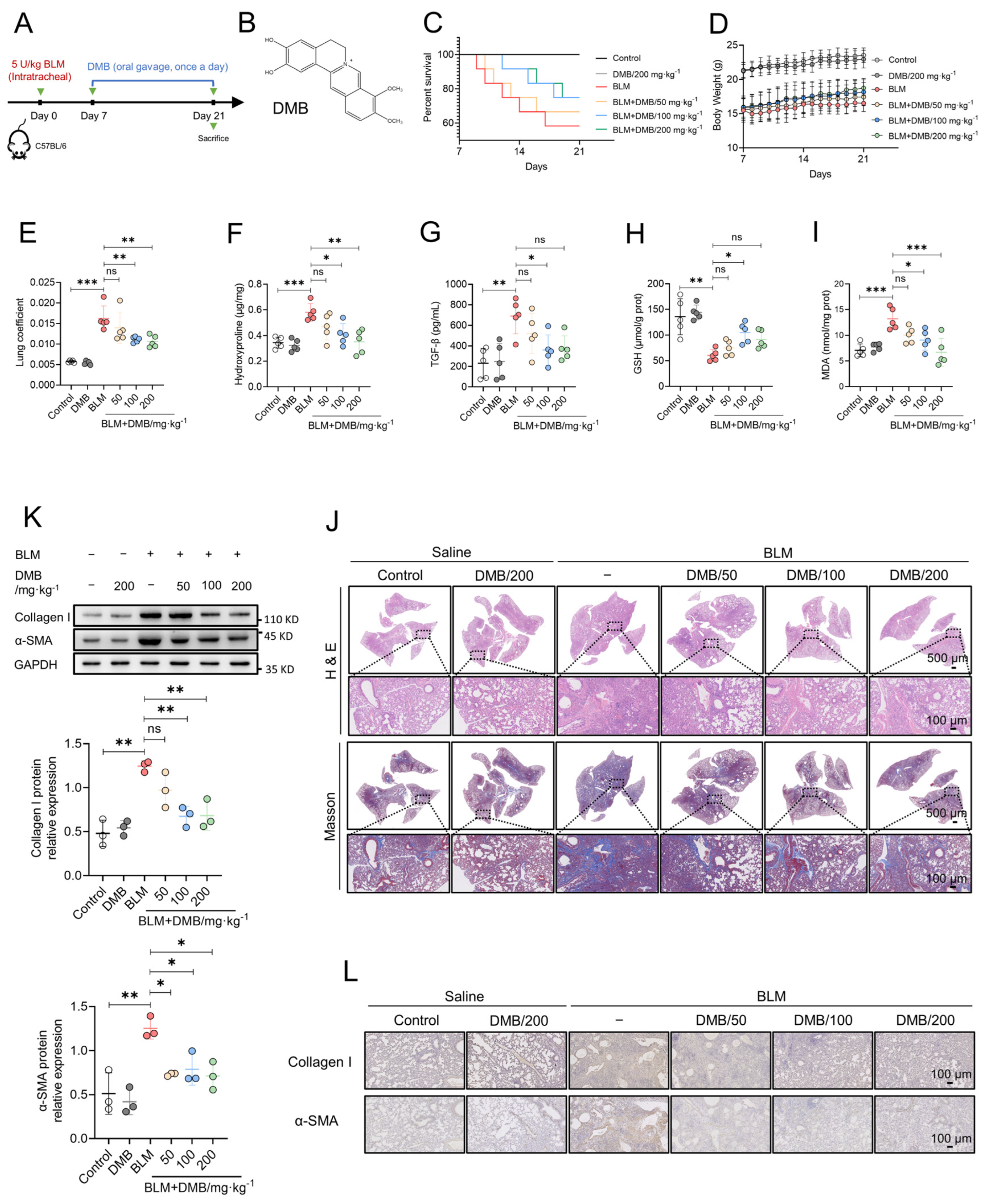 Pharmaceuticals 17 00279 g001