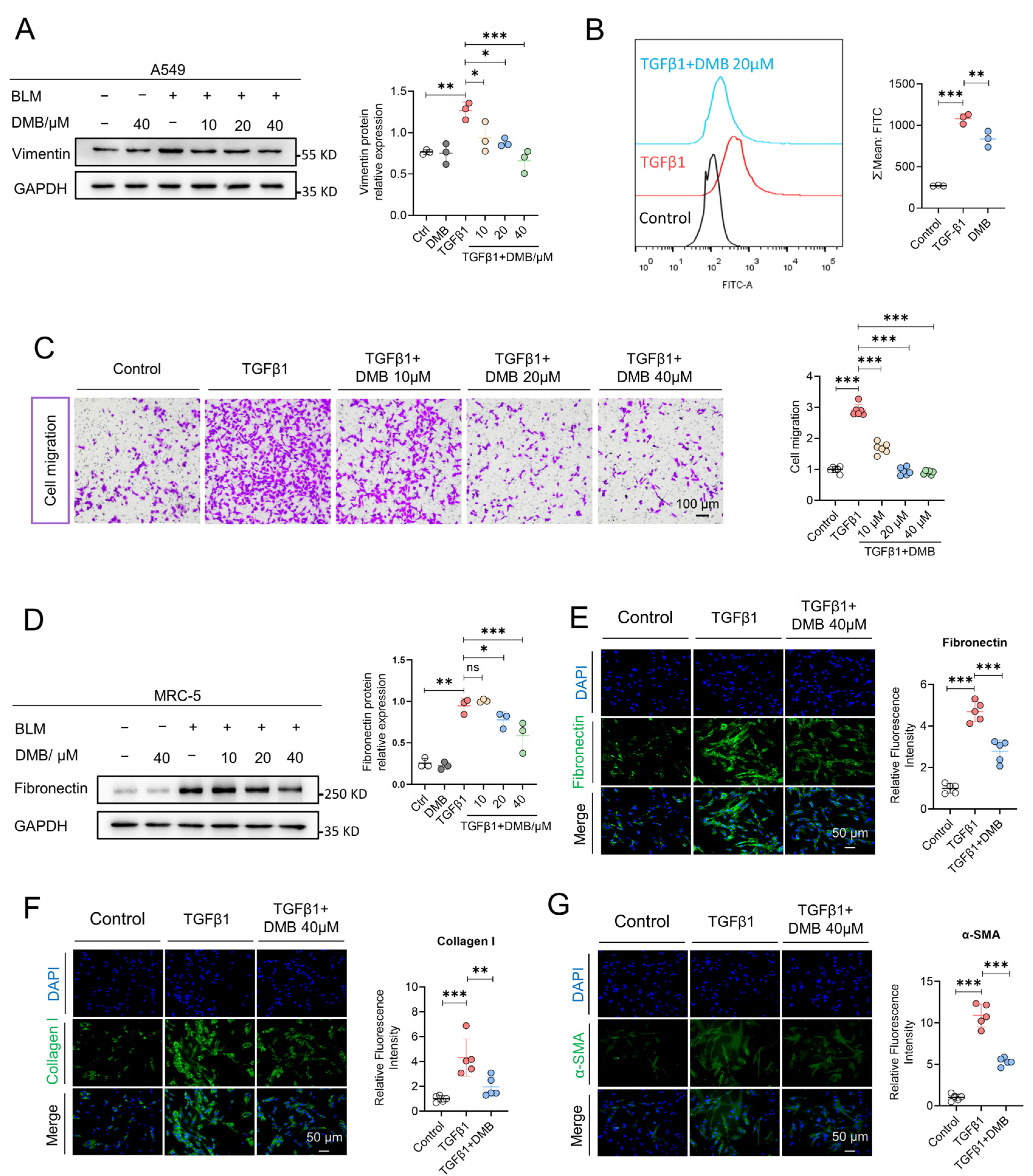 Pharmaceuticals 17 00279 g002