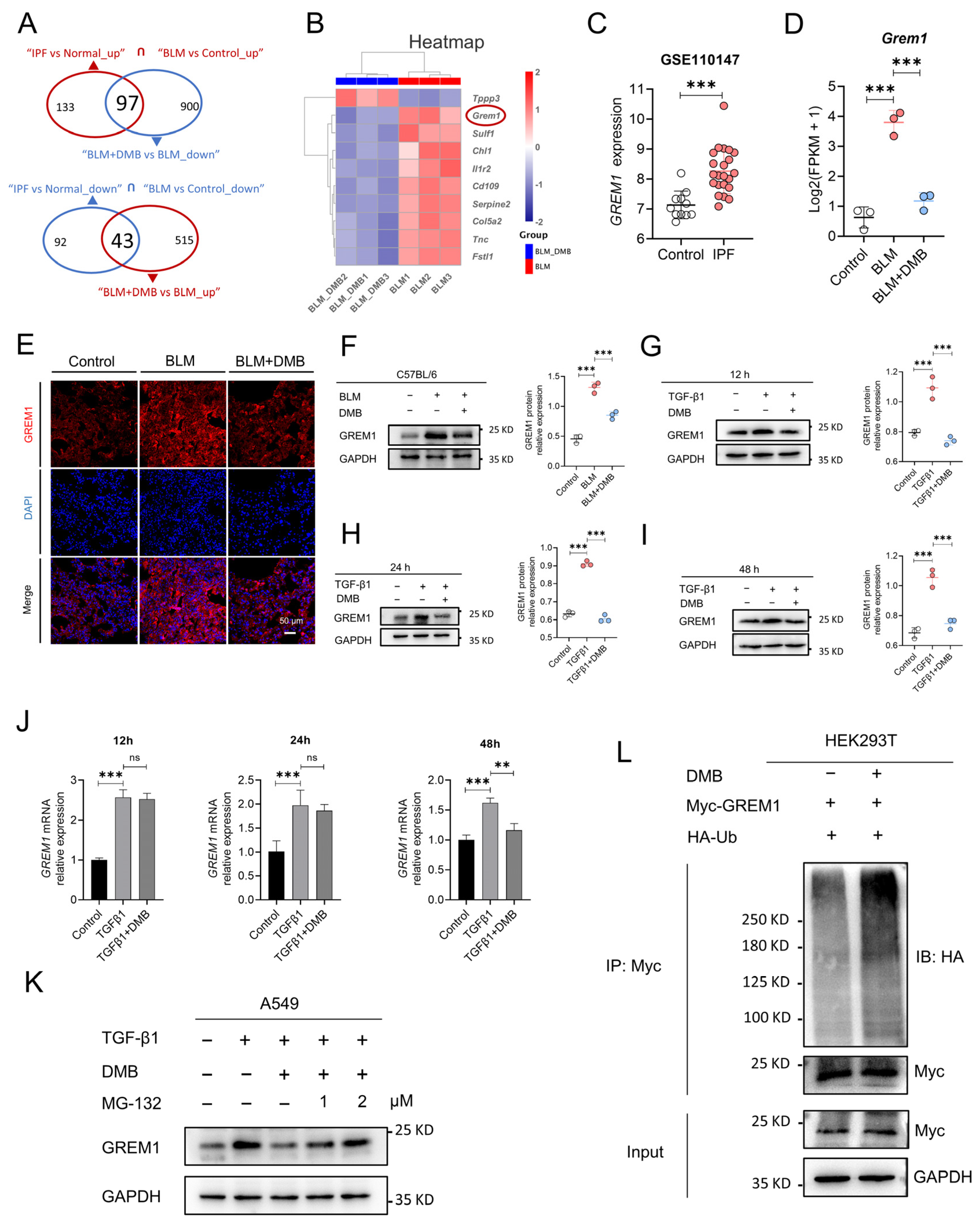 Pharmaceuticals 17 00279 g003