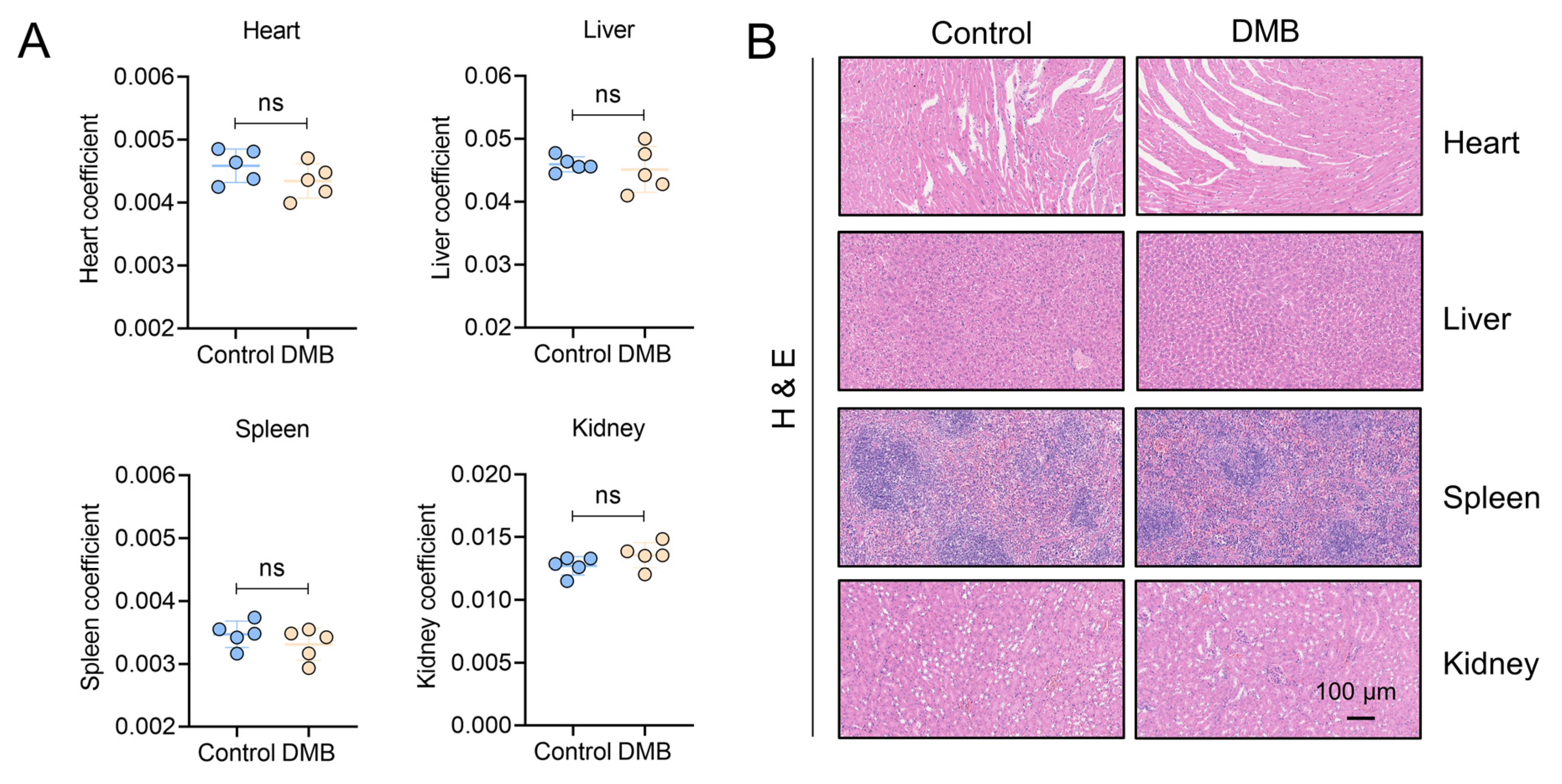 Pharmaceuticals 17 00279 g008