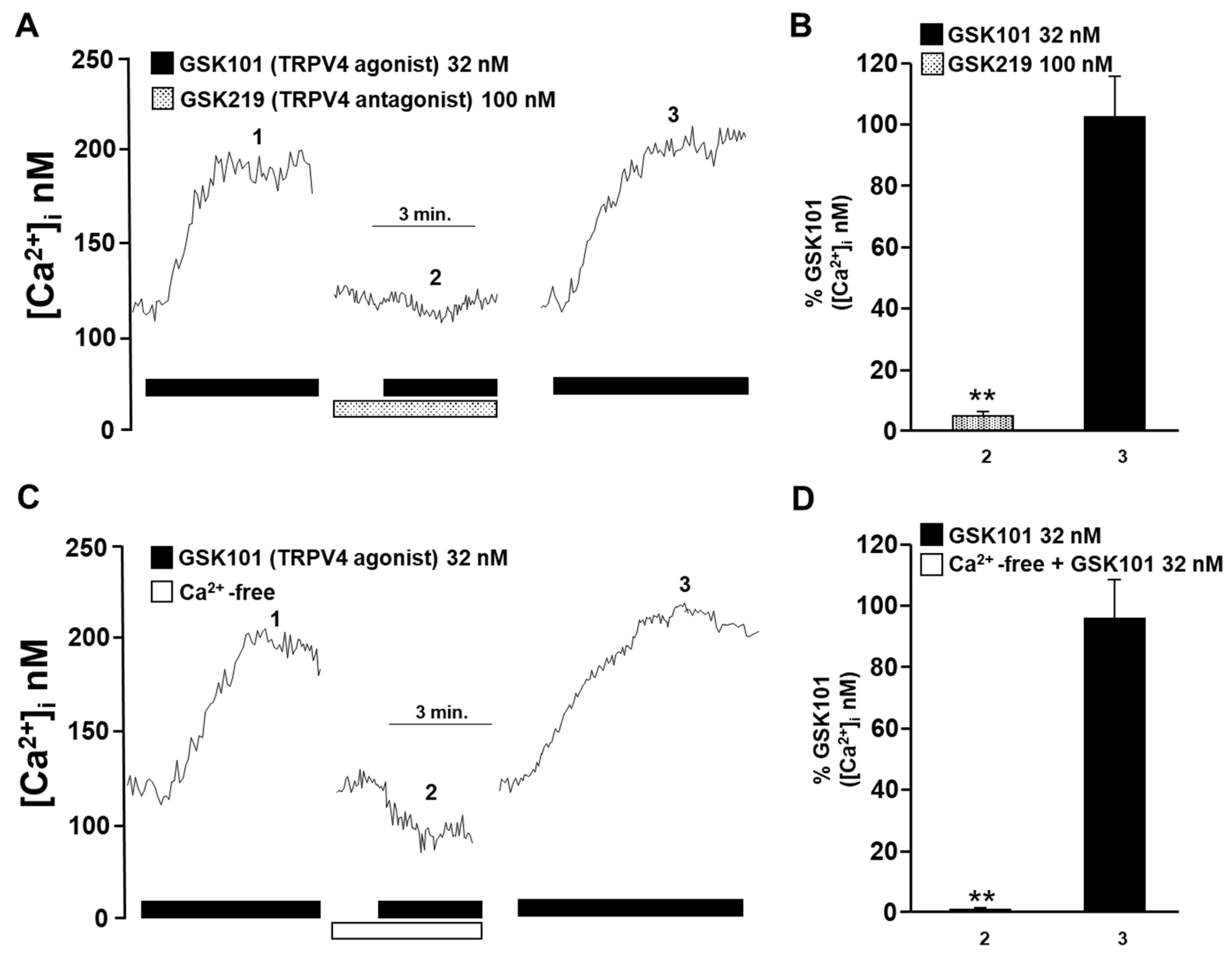 Pharmaceuticals 17 00293 g002 Pharmaceuticals 17 00293 g002