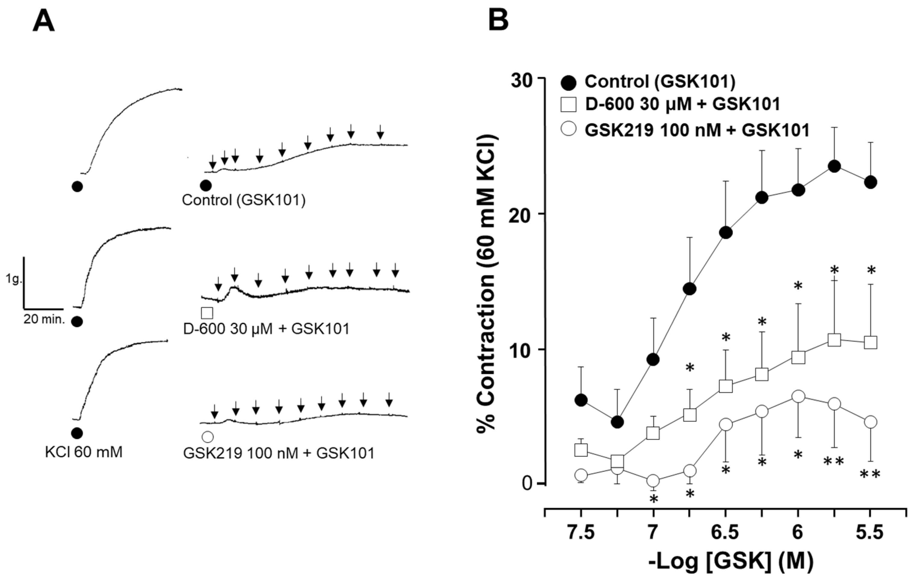 Pharmaceuticals 17 00293 g004 Pharmaceuticals 17 00293 g004
