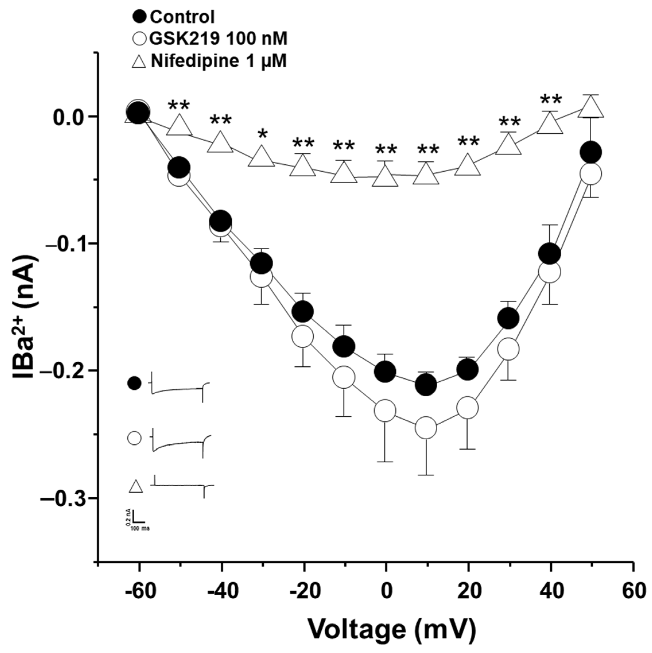 Pharmaceuticals 17 00293 g010 Pharmaceuticals 17 00293 g010