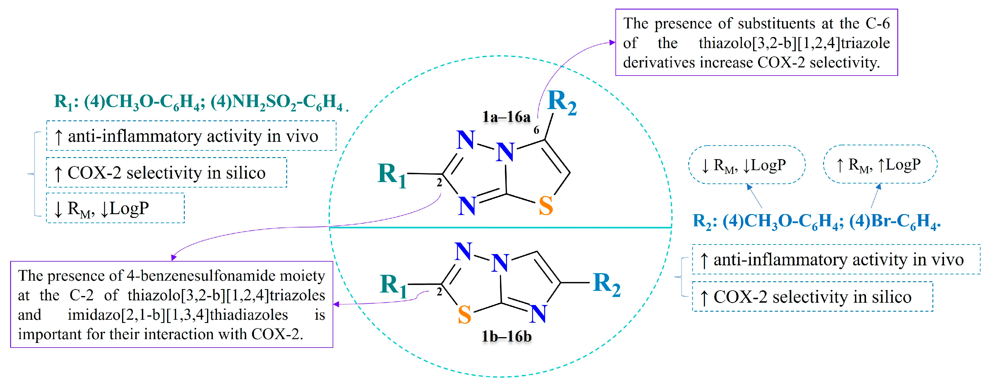 Pharmaceuticals 17 00295 g010