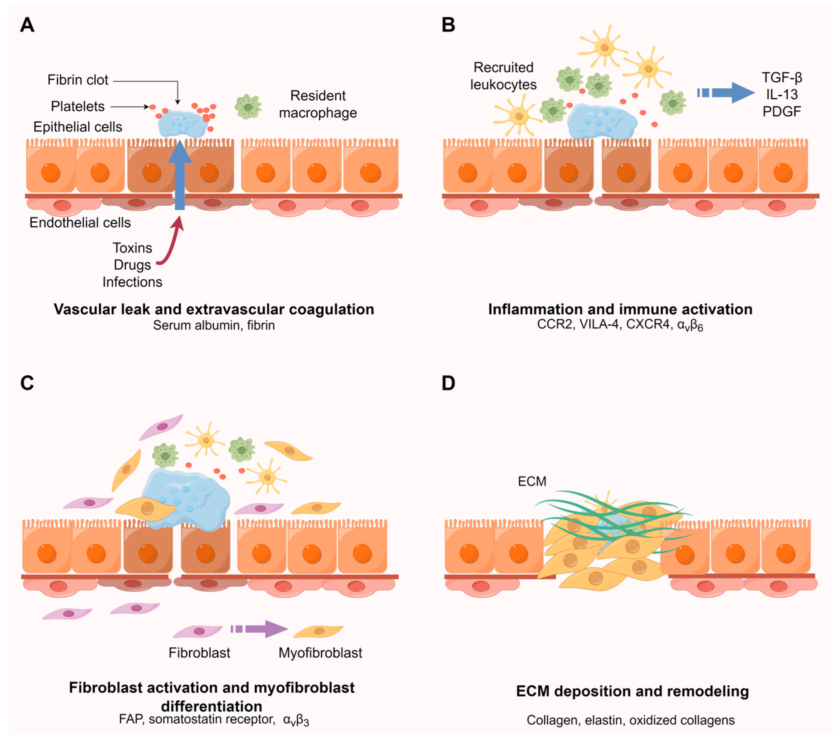 Pharmaceuticals 17 00296 g002