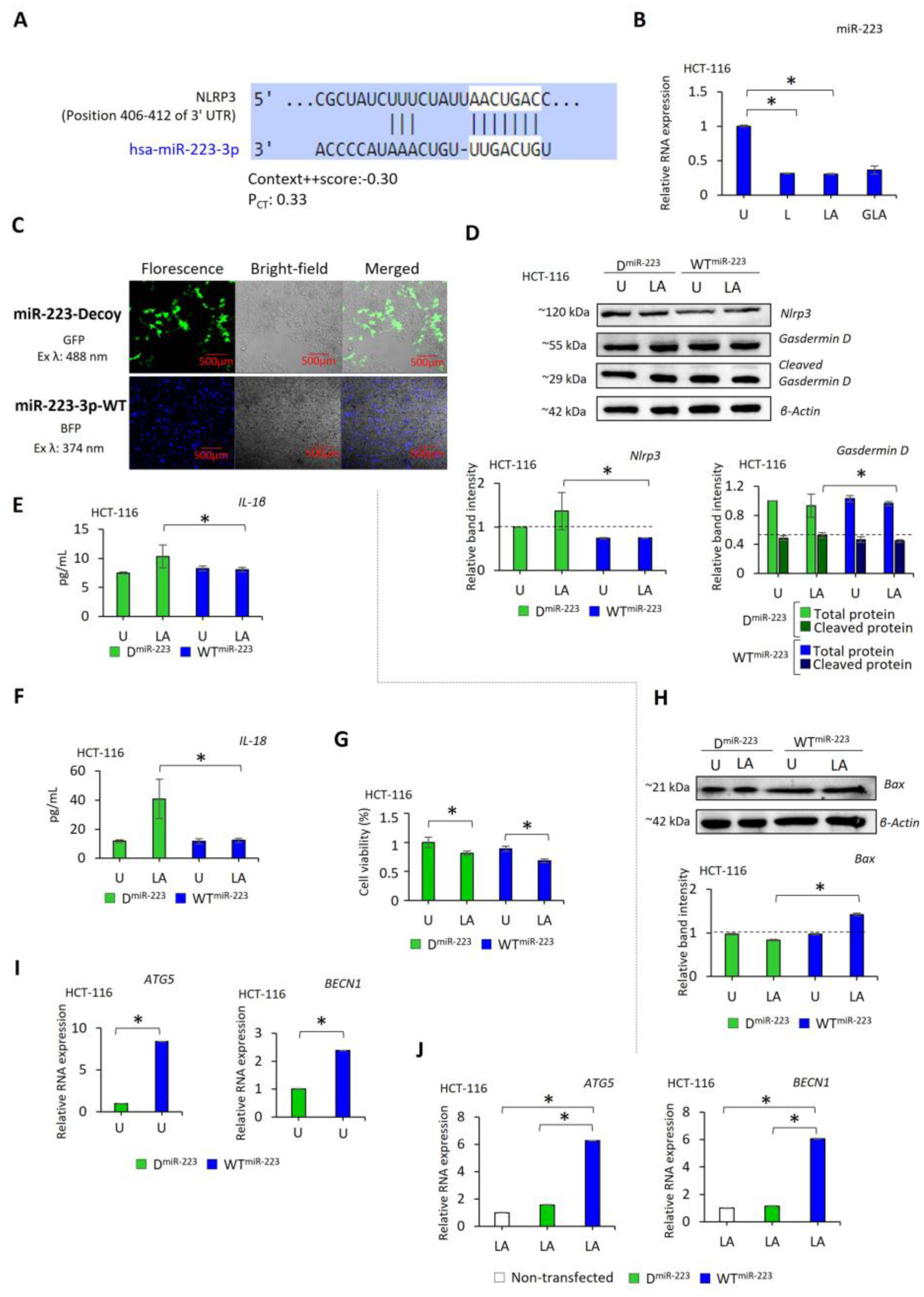 Pharmaceuticals 17 00299 g004