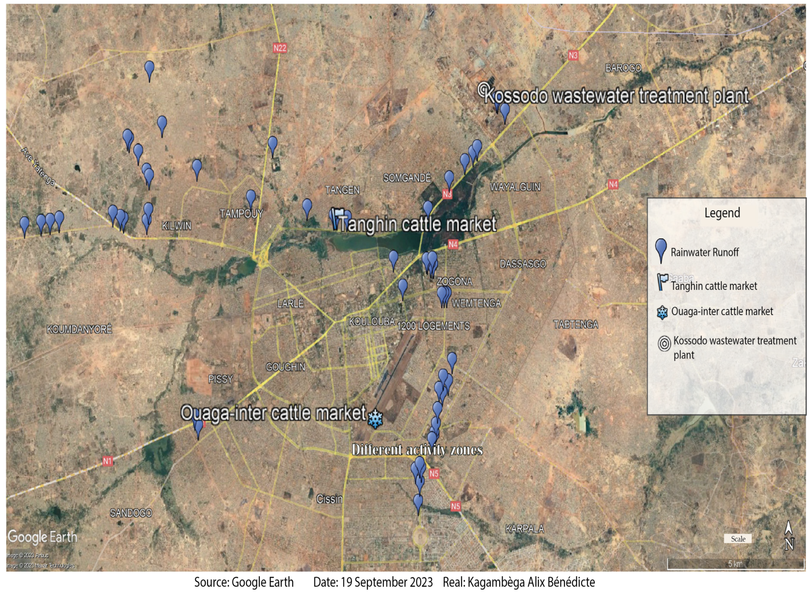 Pharmaceuticals 17 00305 g003
