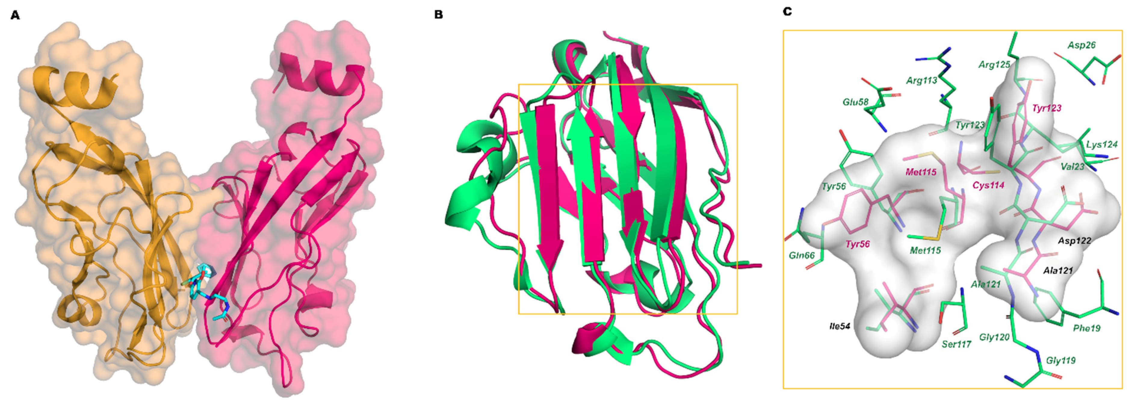 Pharmaceuticals 17 00316 g005