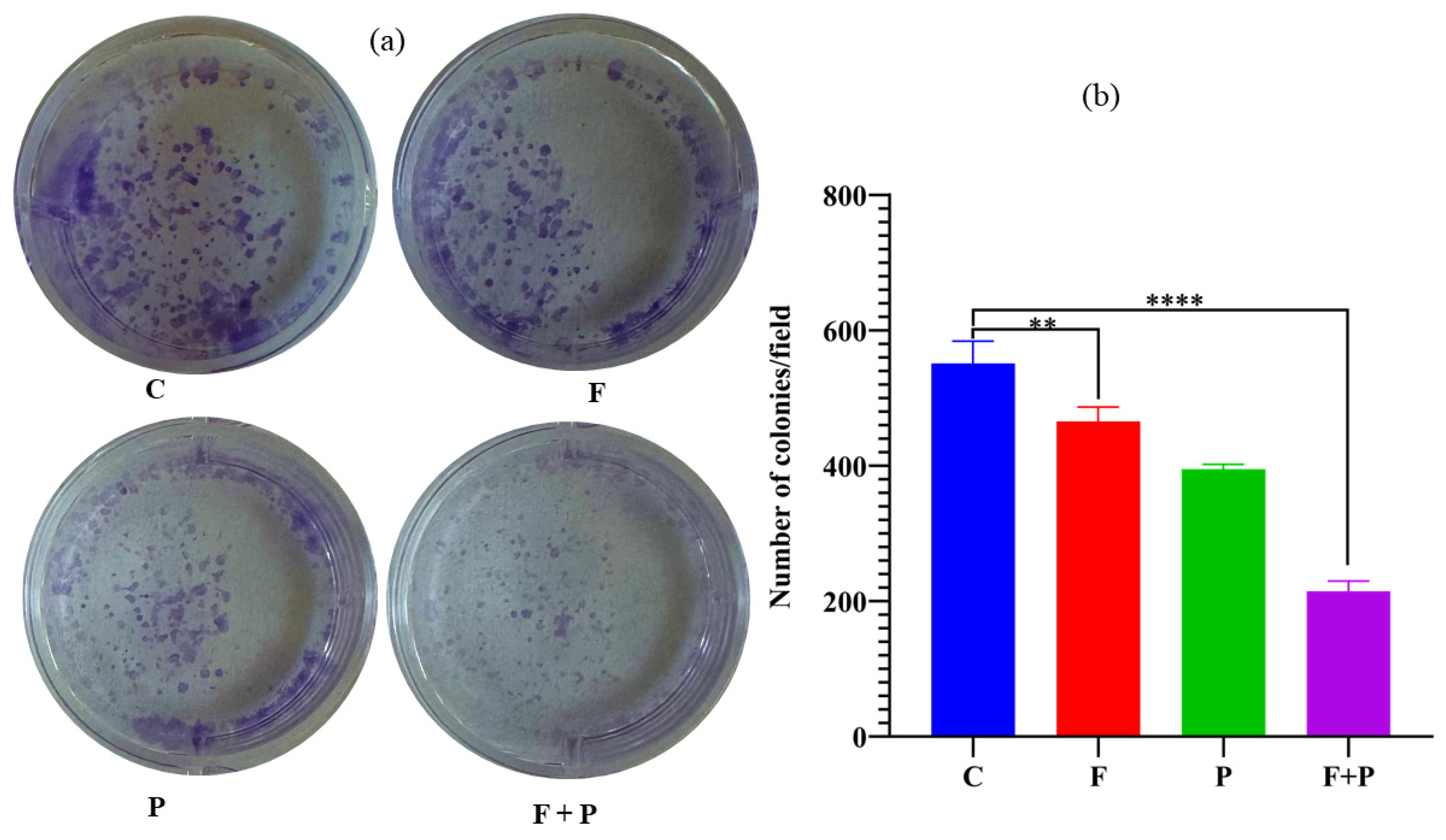 Pharmaceuticals 17 00327 g009