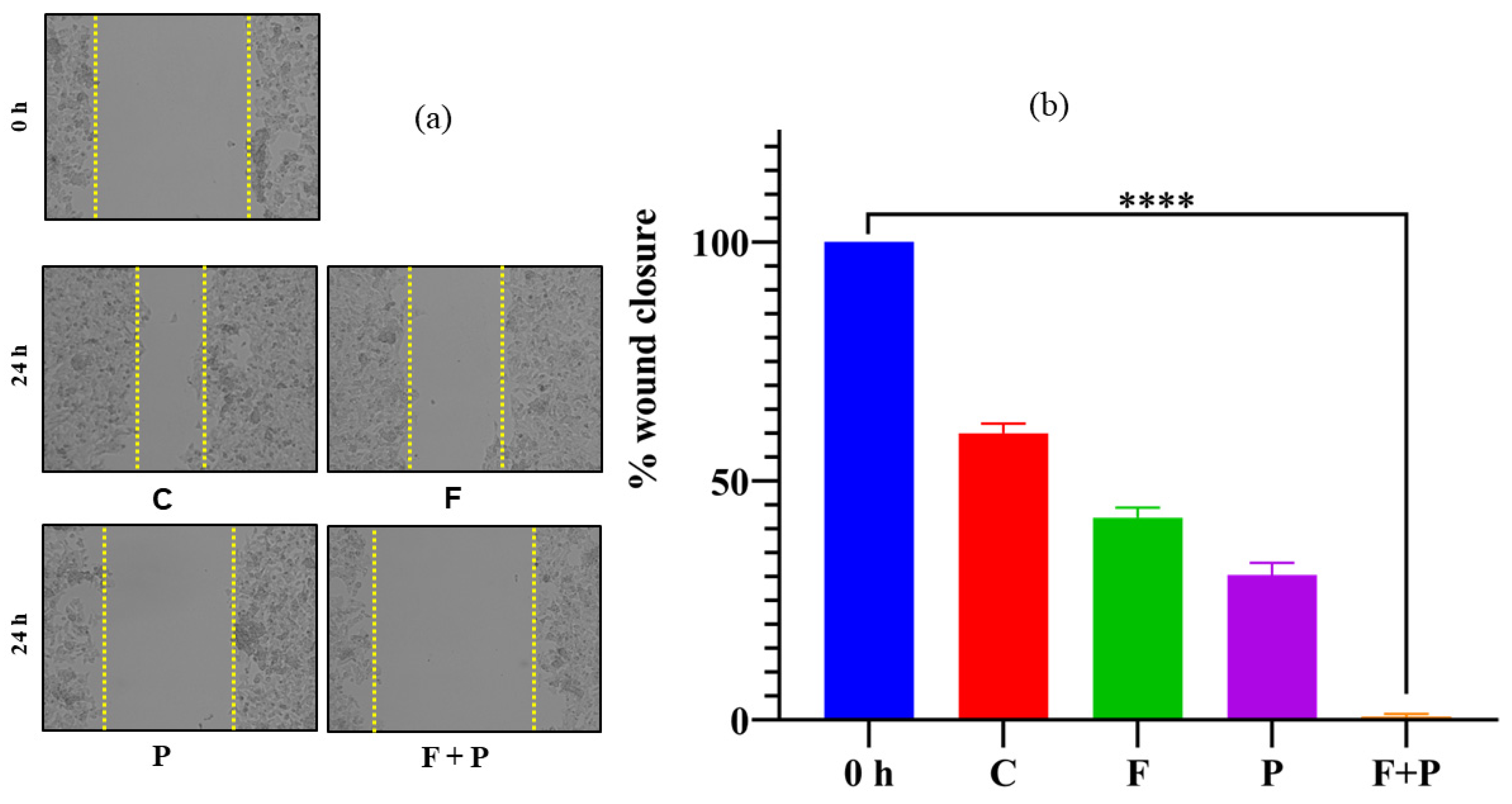 Pharmaceuticals 17 00327 g010