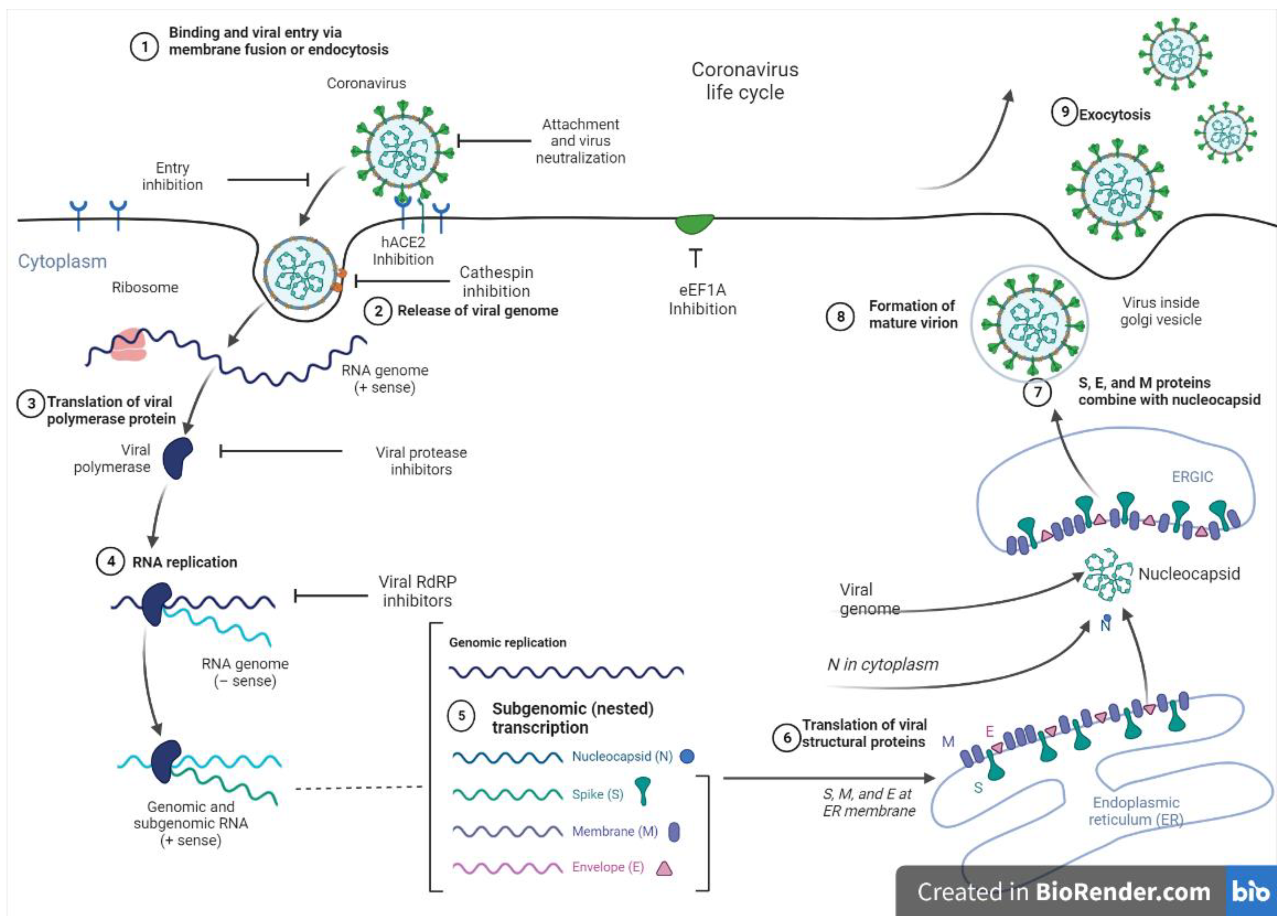 Pharmaceuticals 17 00328 g003