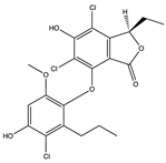 Pharmaceuticals 17 00328 i033