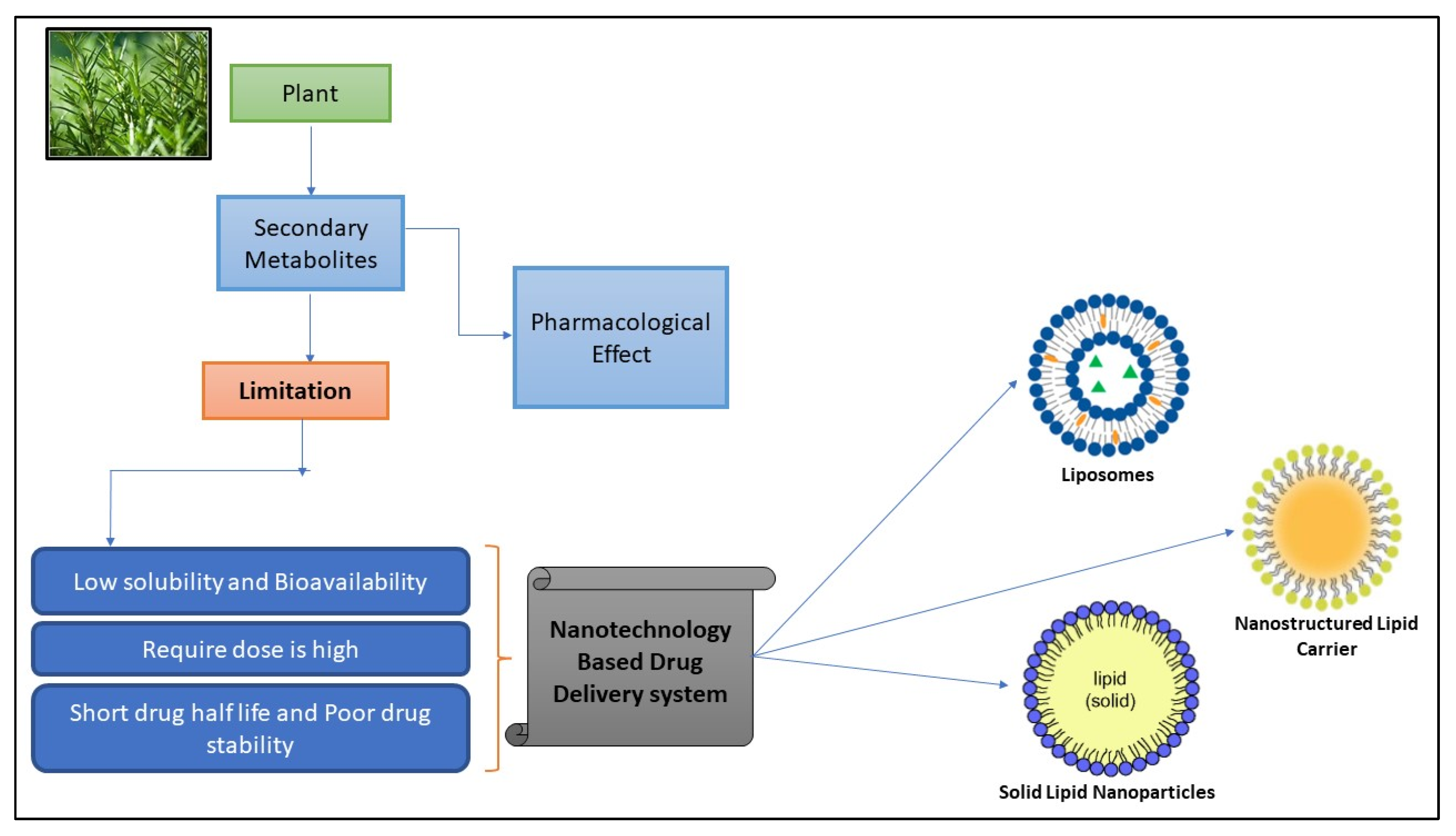 Pharmaceuticals 17 00329 g001