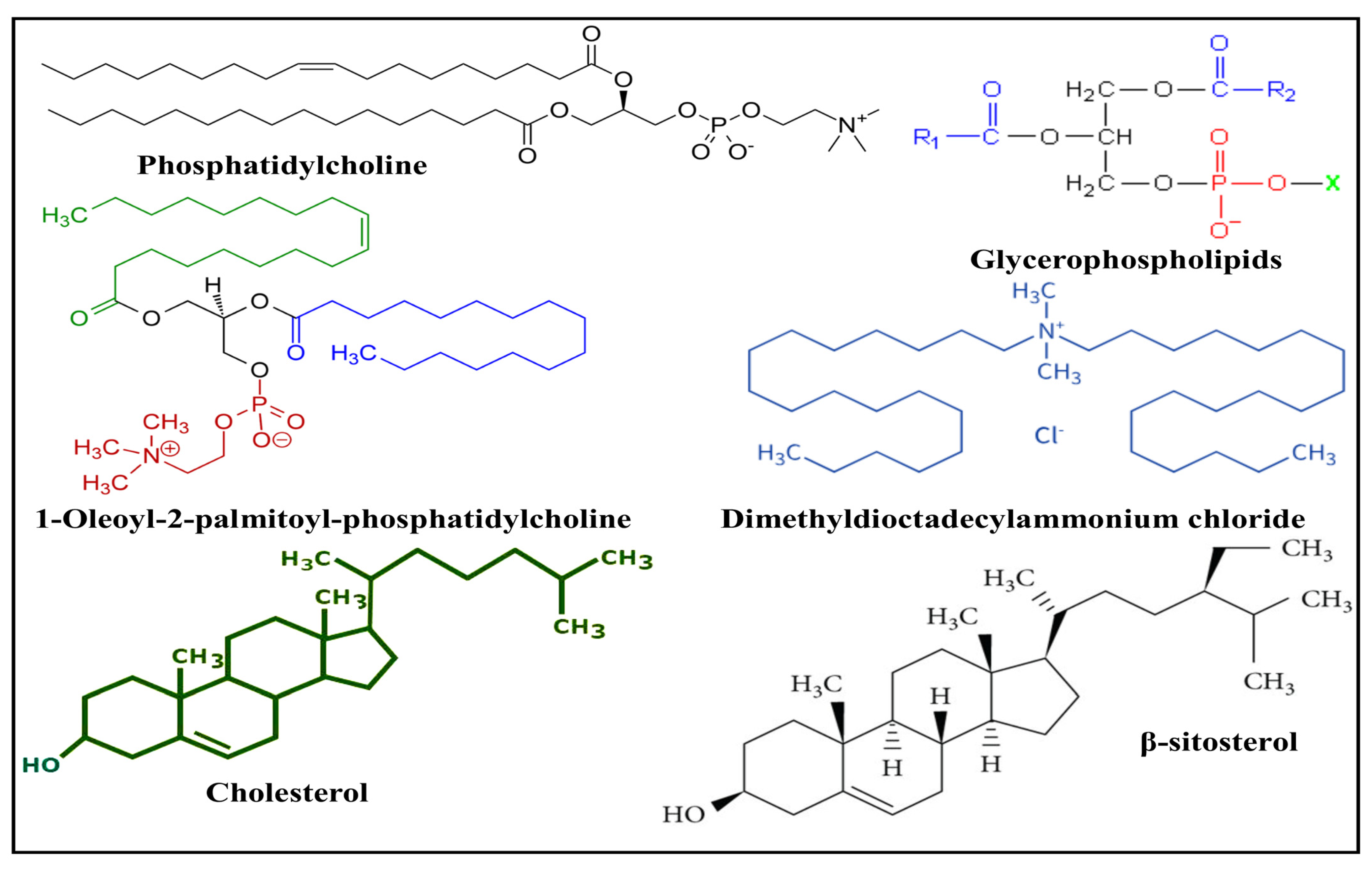 Pharmaceuticals 17 00329 g002