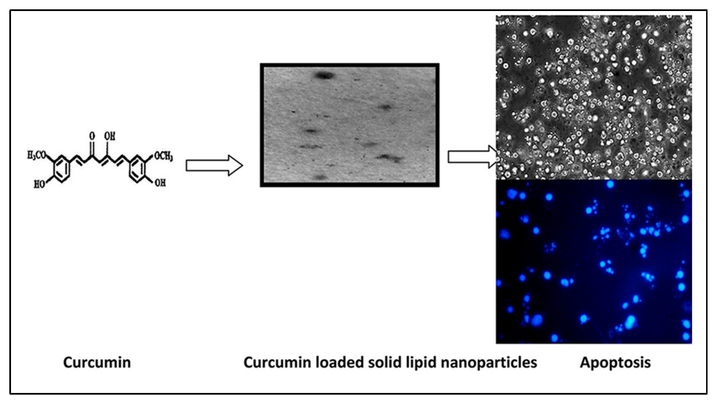 Pharmaceuticals 17 00329 g004