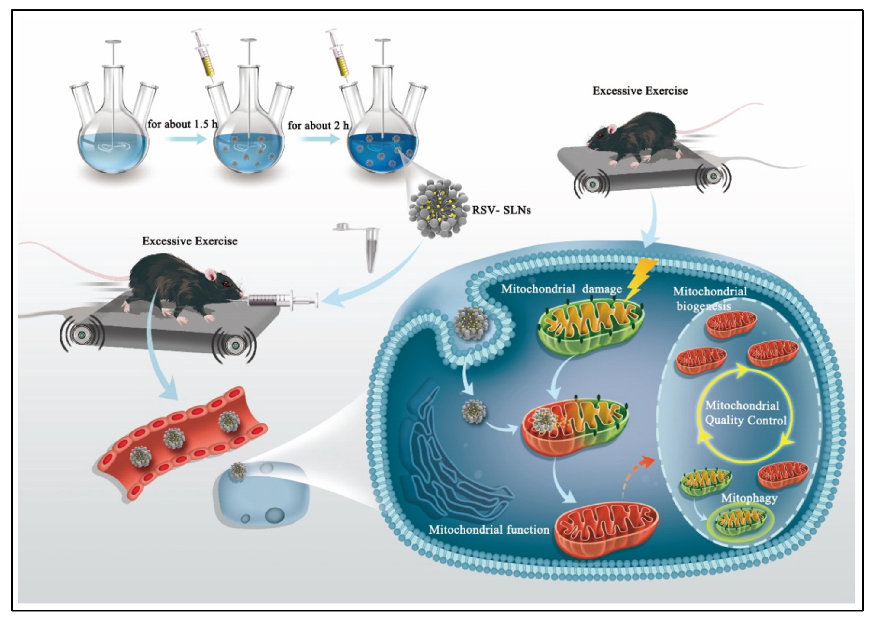 Pharmaceuticals 17 00329 g006