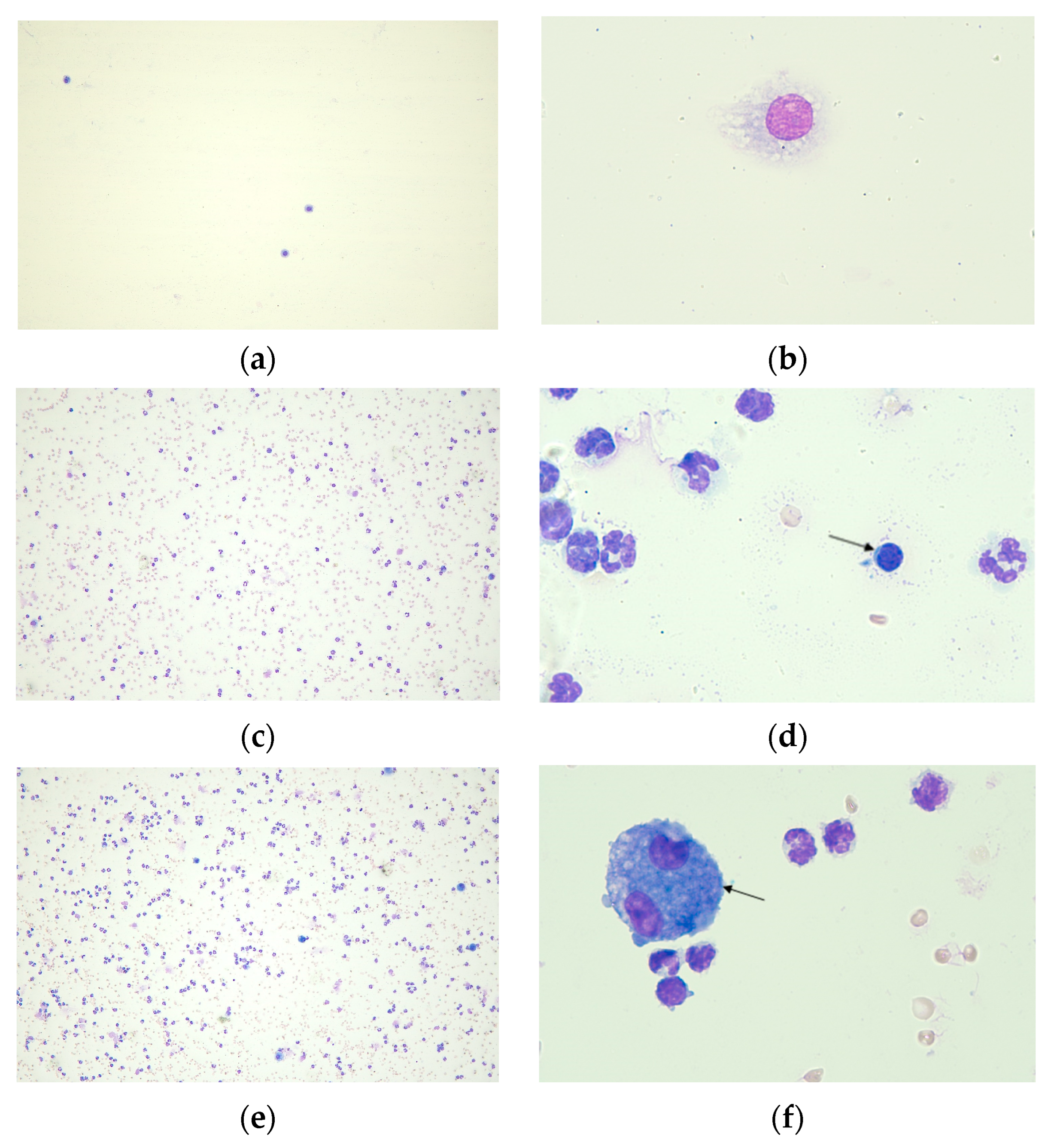 Pharmaceuticals 17 00338 g002a