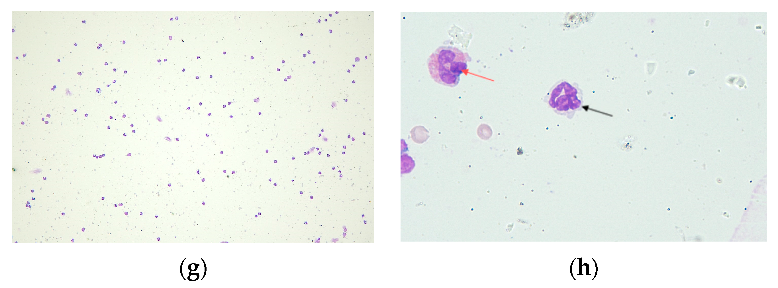 Pharmaceuticals 17 00338 g002b