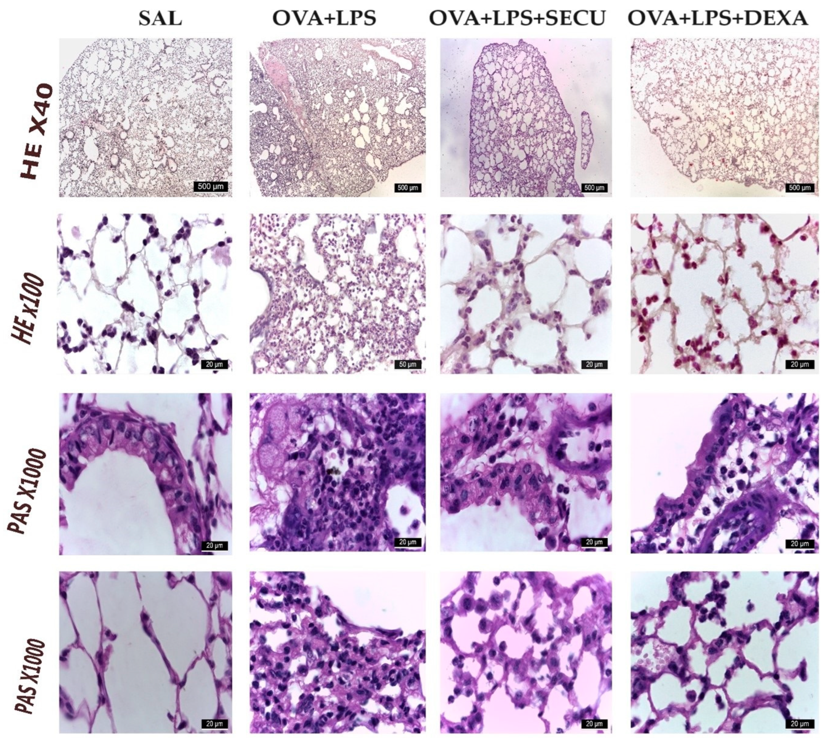 Pharmaceuticals 17 00338 g006