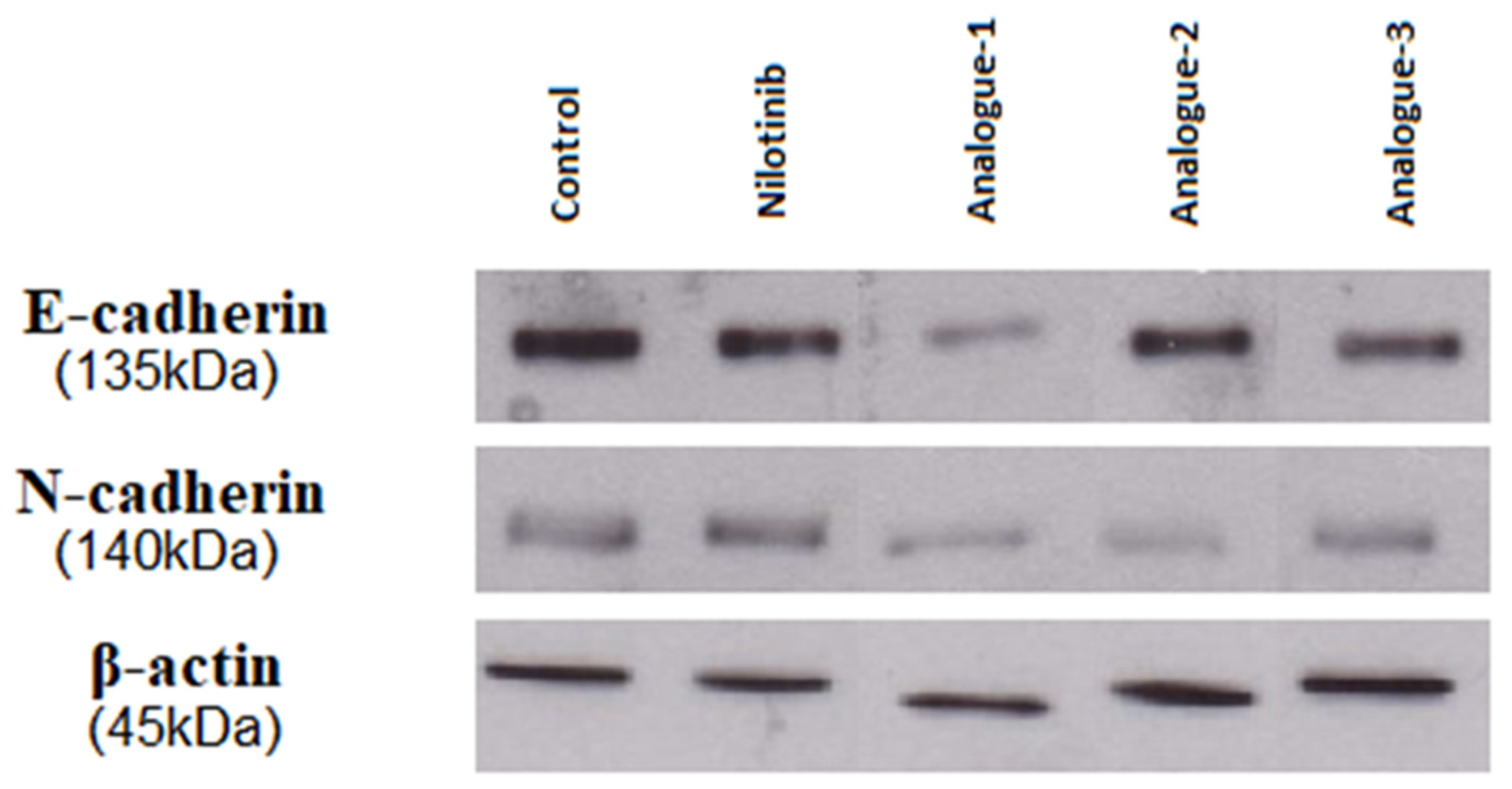 Pharmaceuticals 17 00349 g007