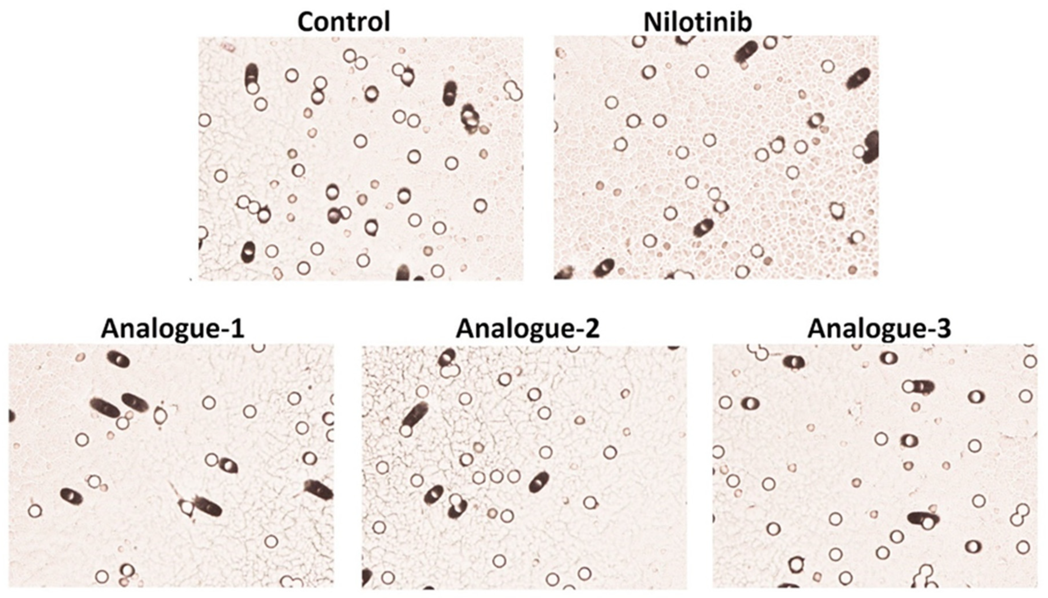 Pharmaceuticals 17 00349 g008