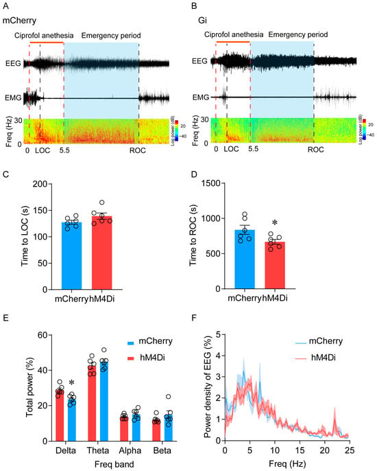 Pharmaceuticals | Free Full-Text | A Common Neuronal Ensemble in 