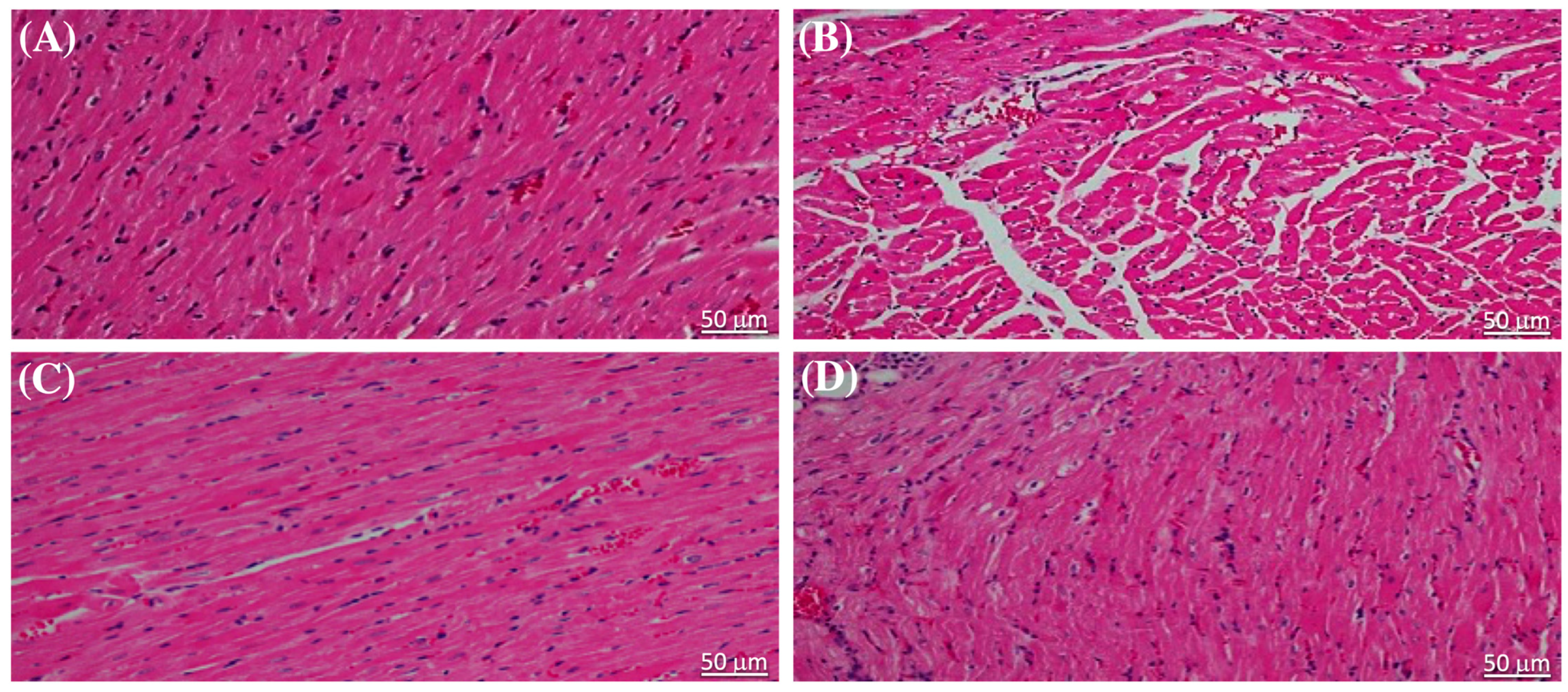 Pharmaceuticals 17 00374 g002