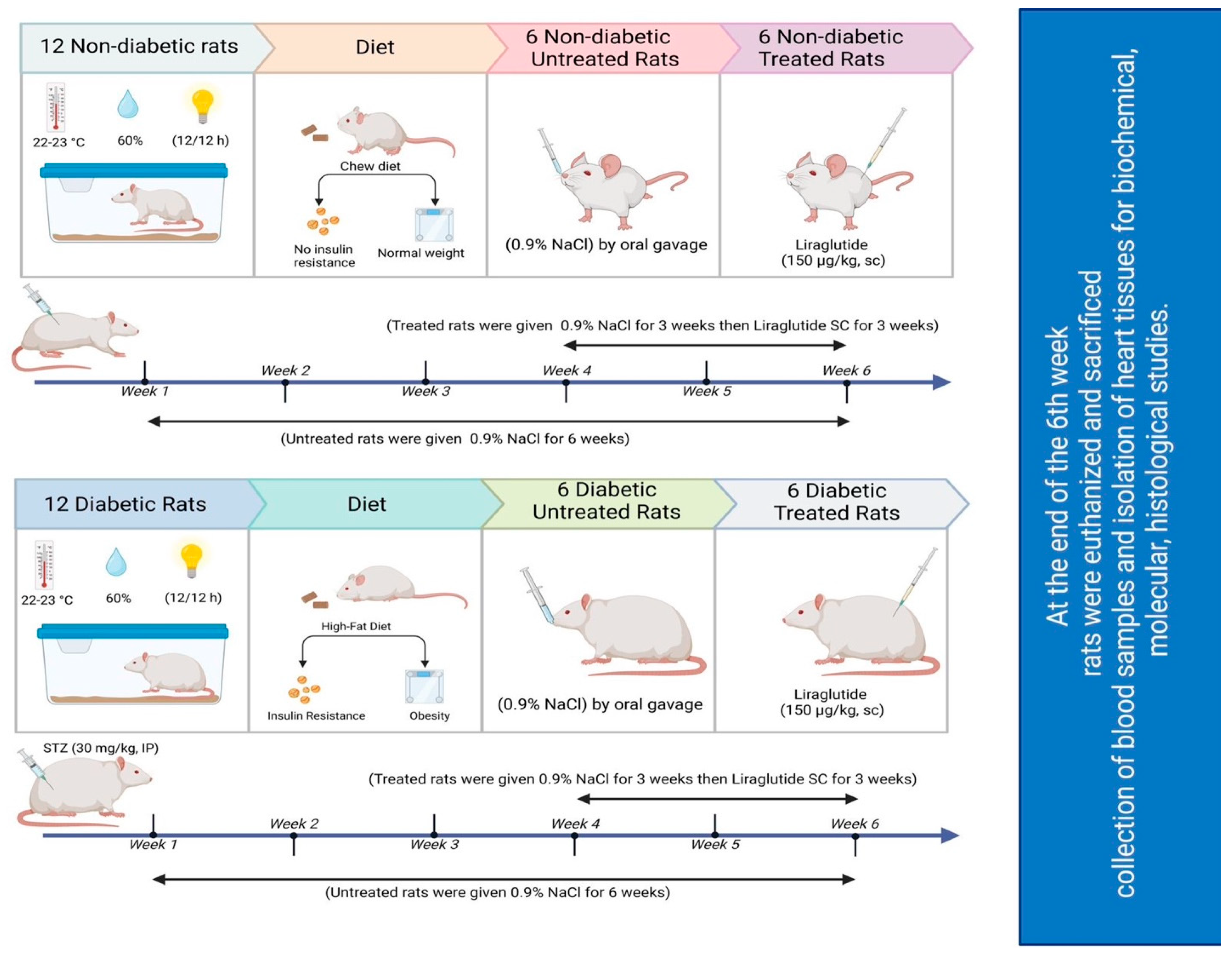Pharmaceuticals 17 00374 g007