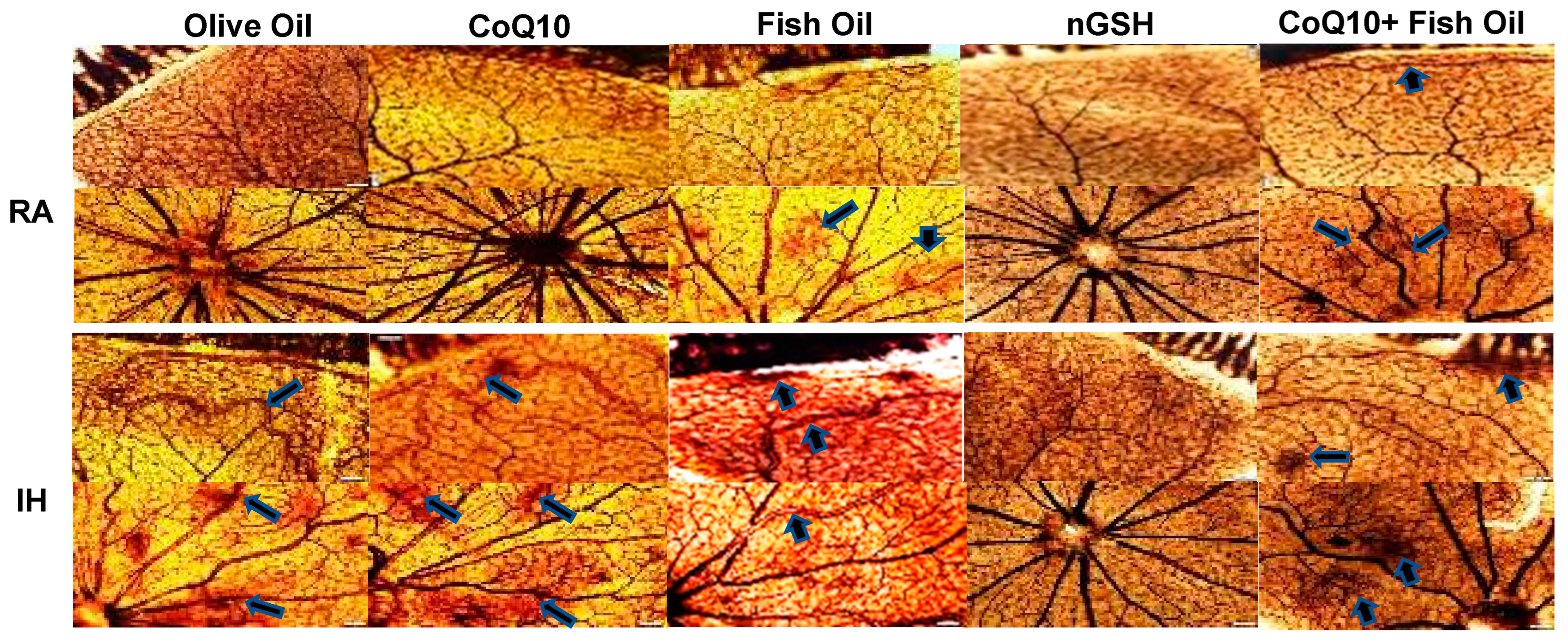 Pharmaceuticals 17 00381 g001