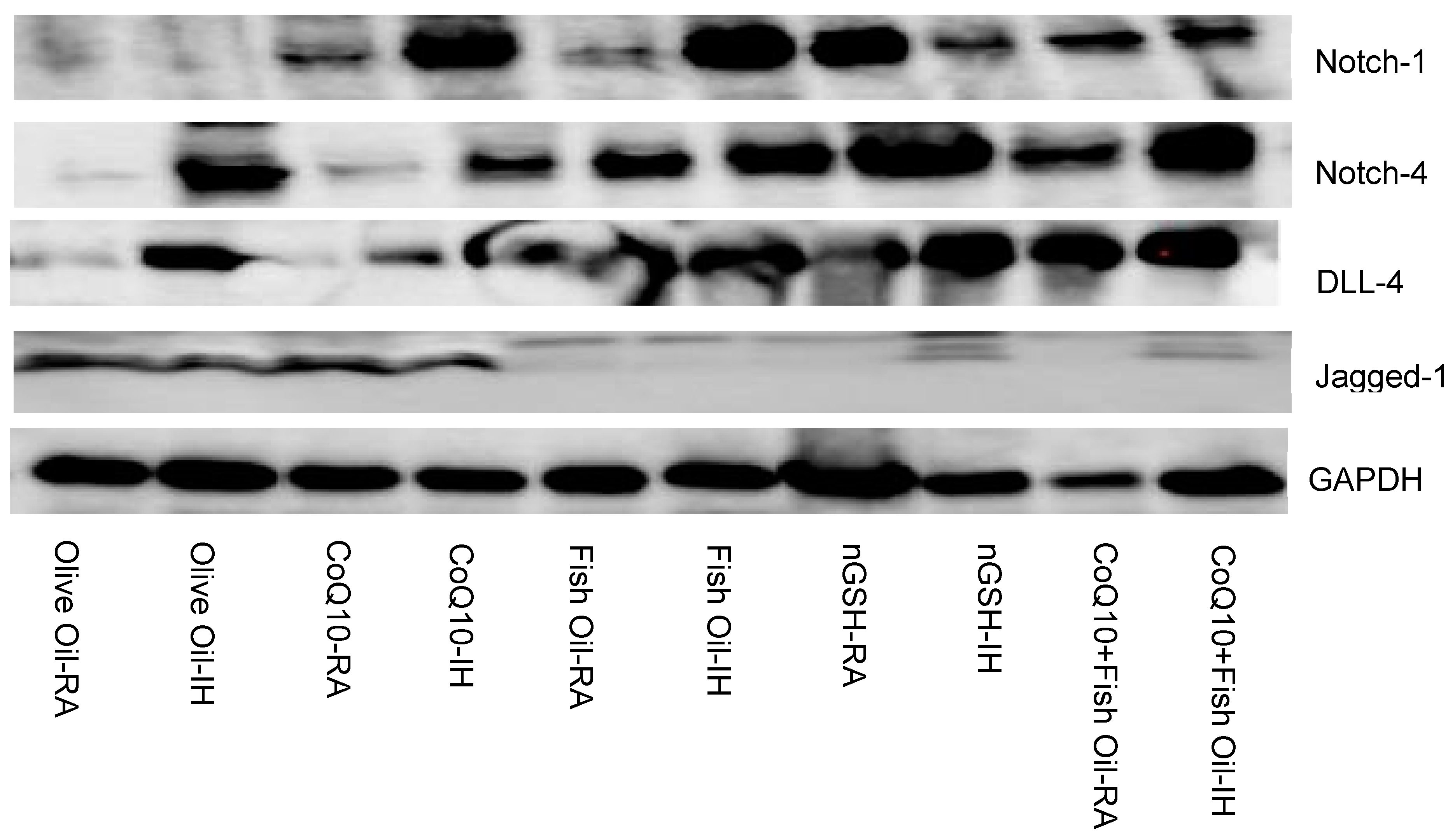 Pharmaceuticals 17 00381 g009