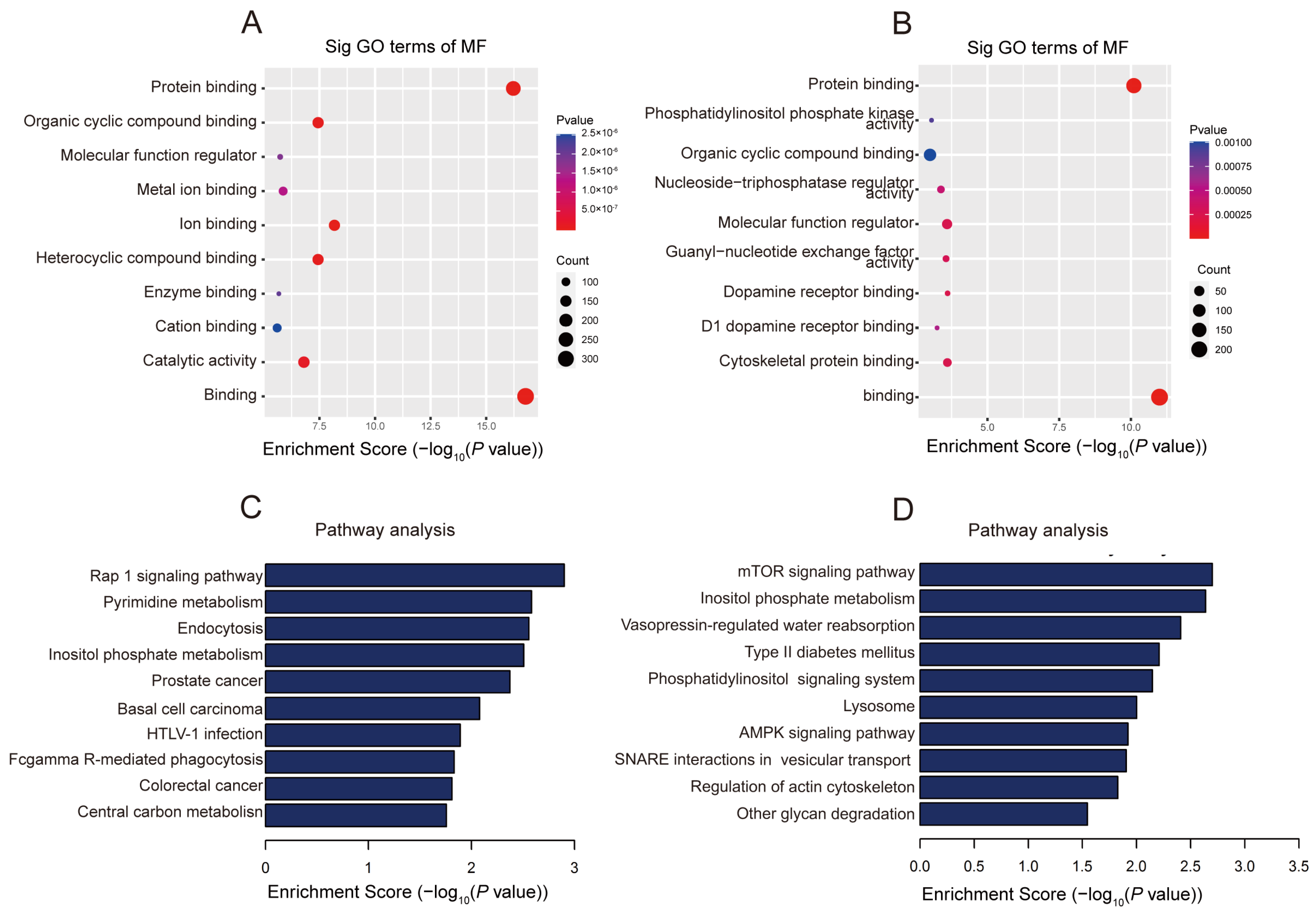 Pharmaceuticals 17 00384 g004