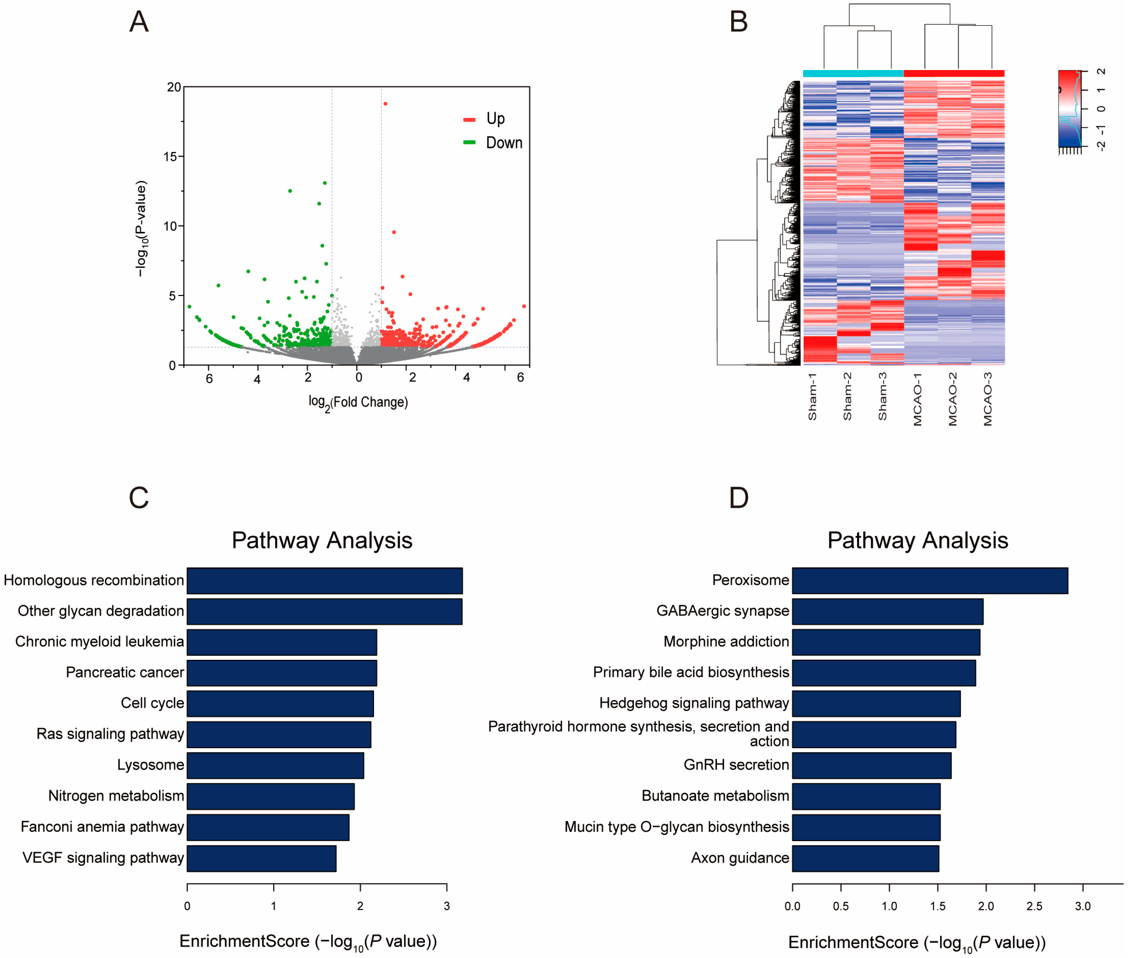 Pharmaceuticals 17 00384 g005