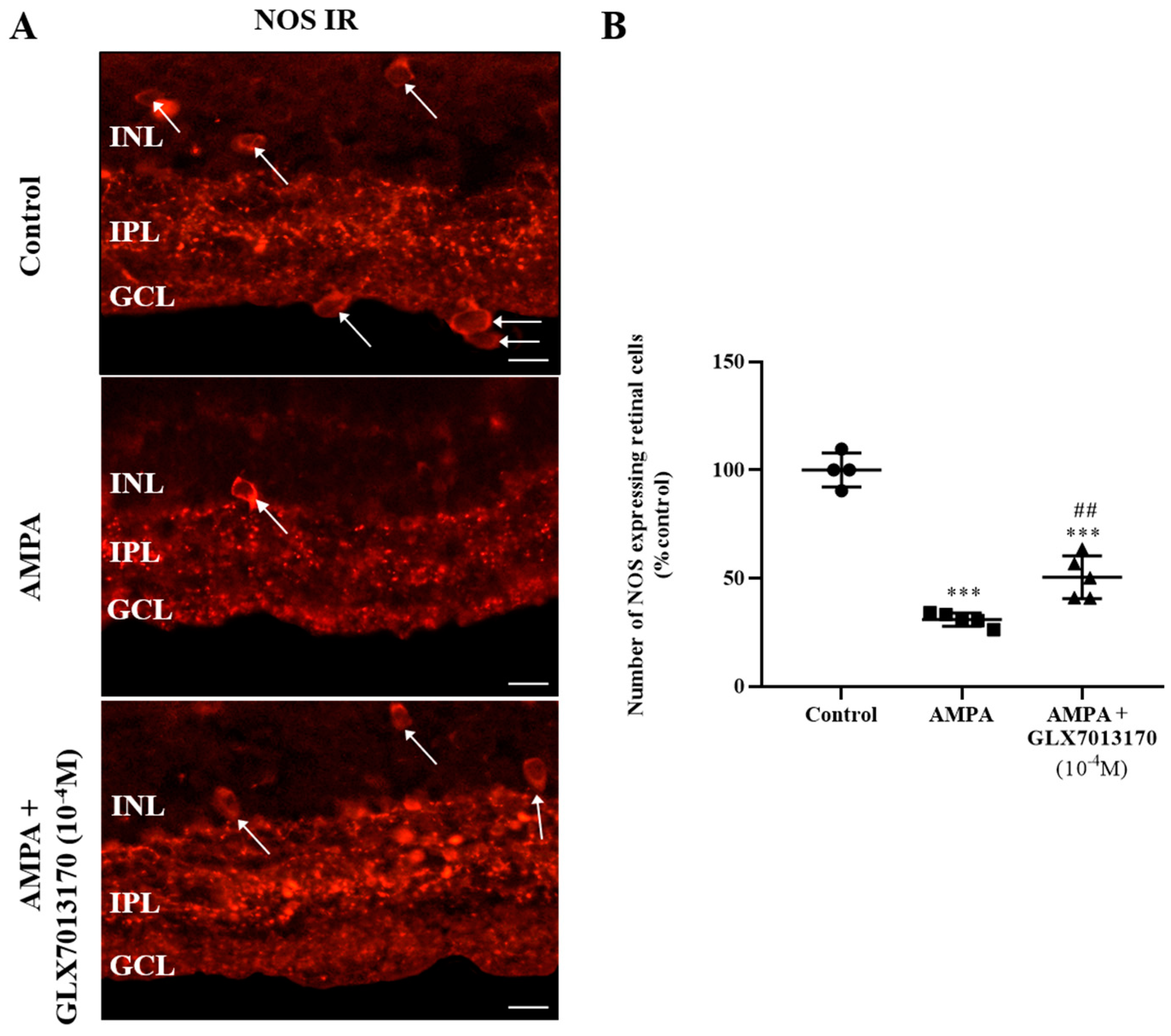 Pharmaceuticals 17 00393 g001 Pharmaceuticals 17 00393 g001